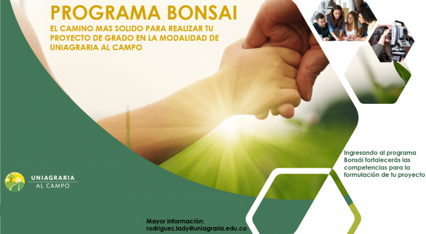 Bonsai, la respuesta a las necesidades de reentrenamiento