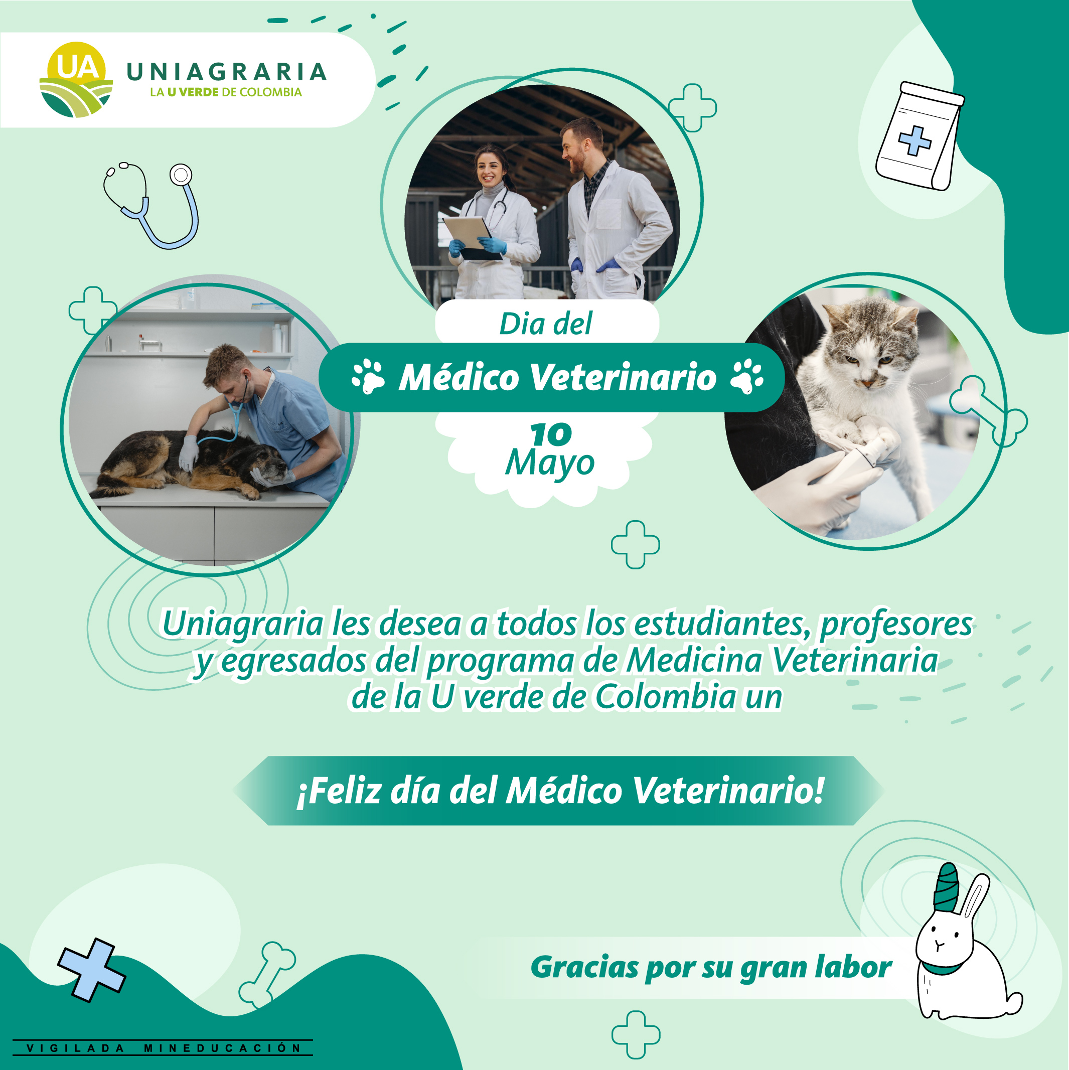 Feliz día del Médico Veterinario