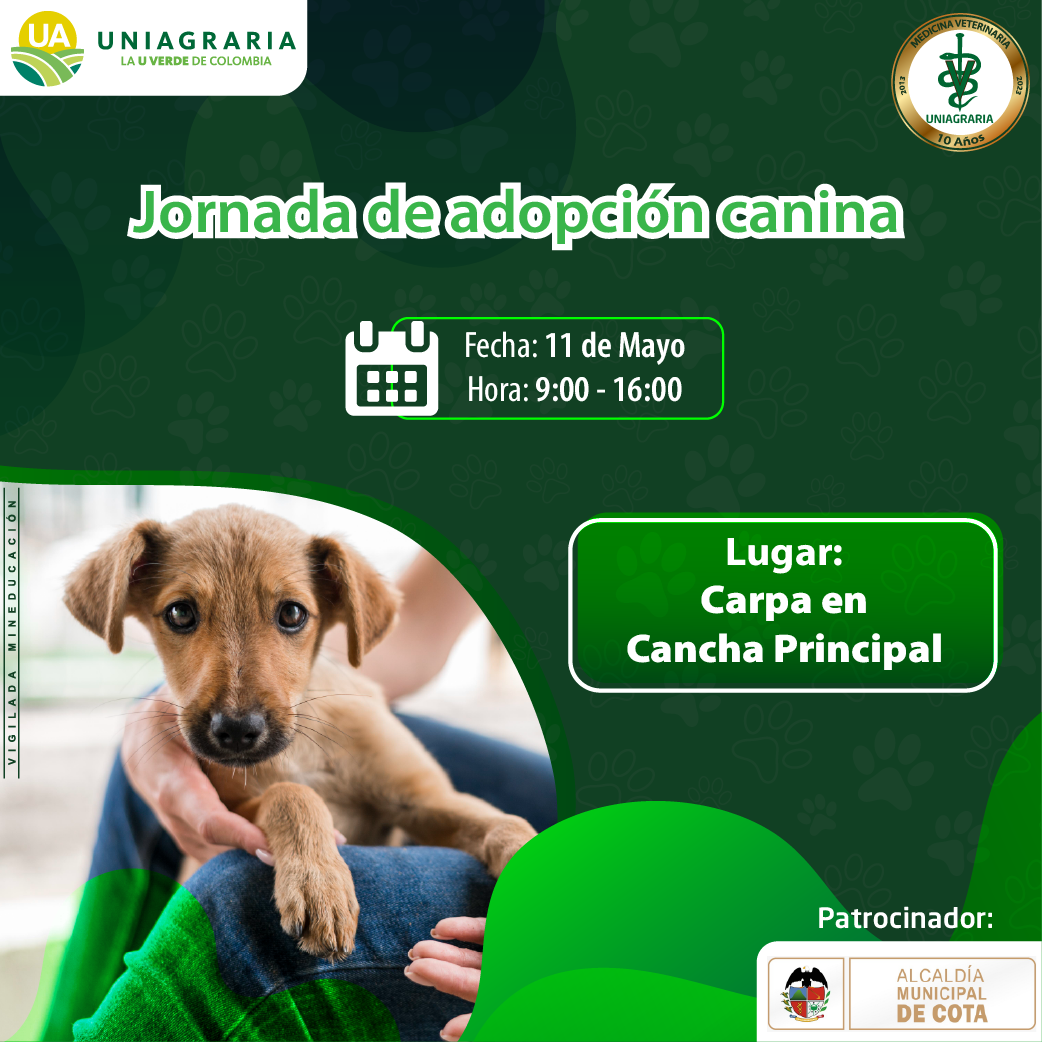Jornada de adopción felinos