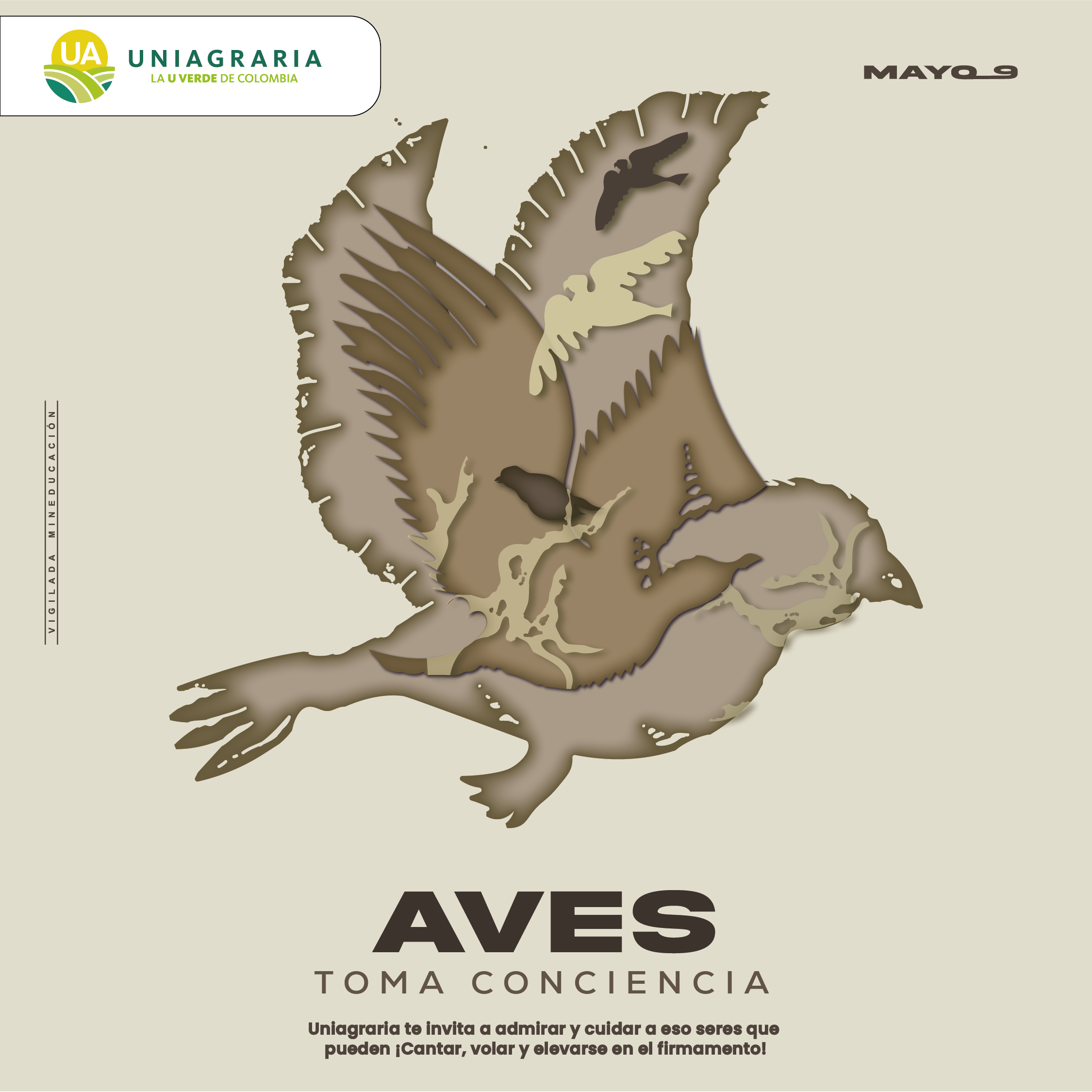 Toma conciencia – Uniagraria te invita a admirar y cuidar las aves