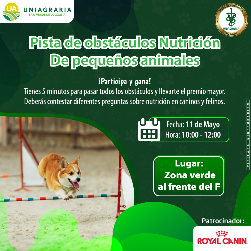 Pista de obstáculos Nutrición de pequeños animales