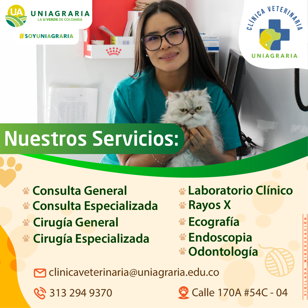 Servicios Clínica Veterinaria