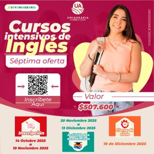 Cursos intensivos de Inglés – Séptima Oferta