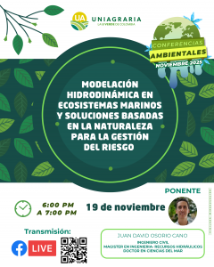 Modelación hidrodinámica en ecosistemas marinos y soluciones basadas en la naturaleza para la gestión del riesgo