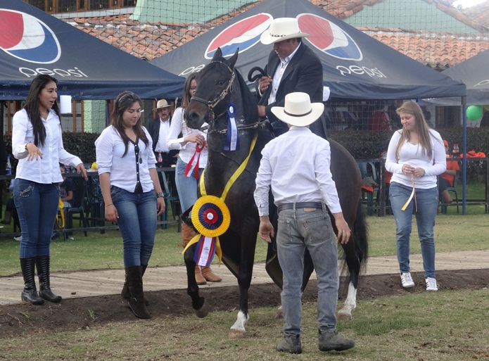 II Festival por el Bienestar Equino