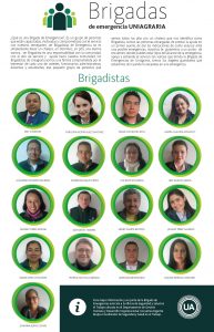 Brigadas de emergencia
