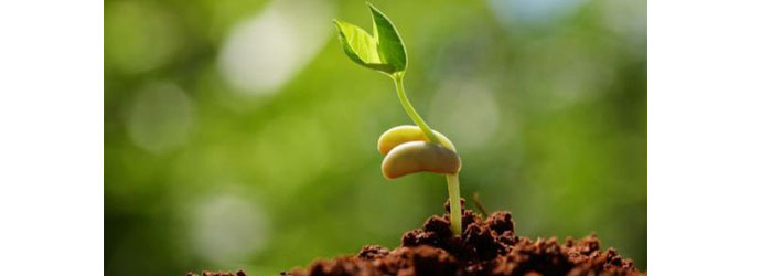 Nuevos miembros de la Comunidad Uniagrarista 