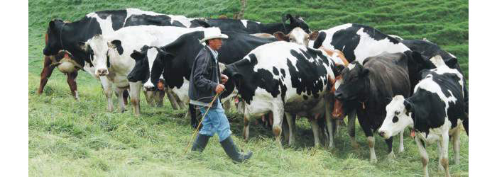 Nuevas metodologías de enseñanza por el campo  