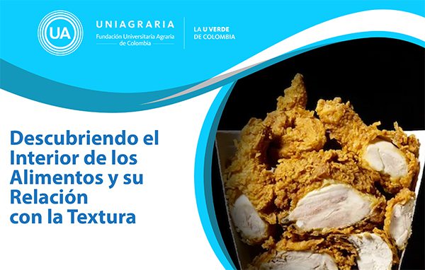 Descubriendo el interior de los alimentos y su relación con la textura