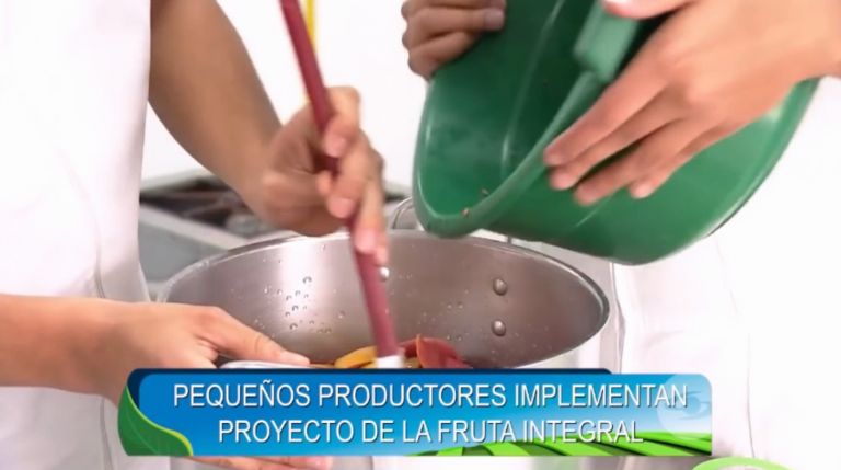 Pequeños productores implementan proyecto de la fruta integral con el apoyo de Uniagraria