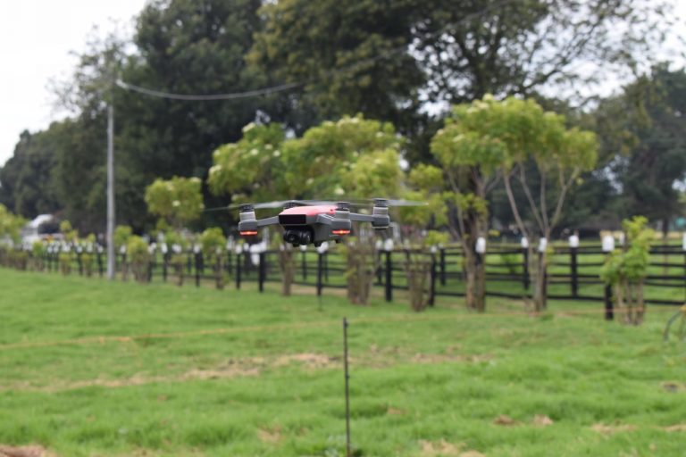 Drones para analizar la salud alimentaria del ganado