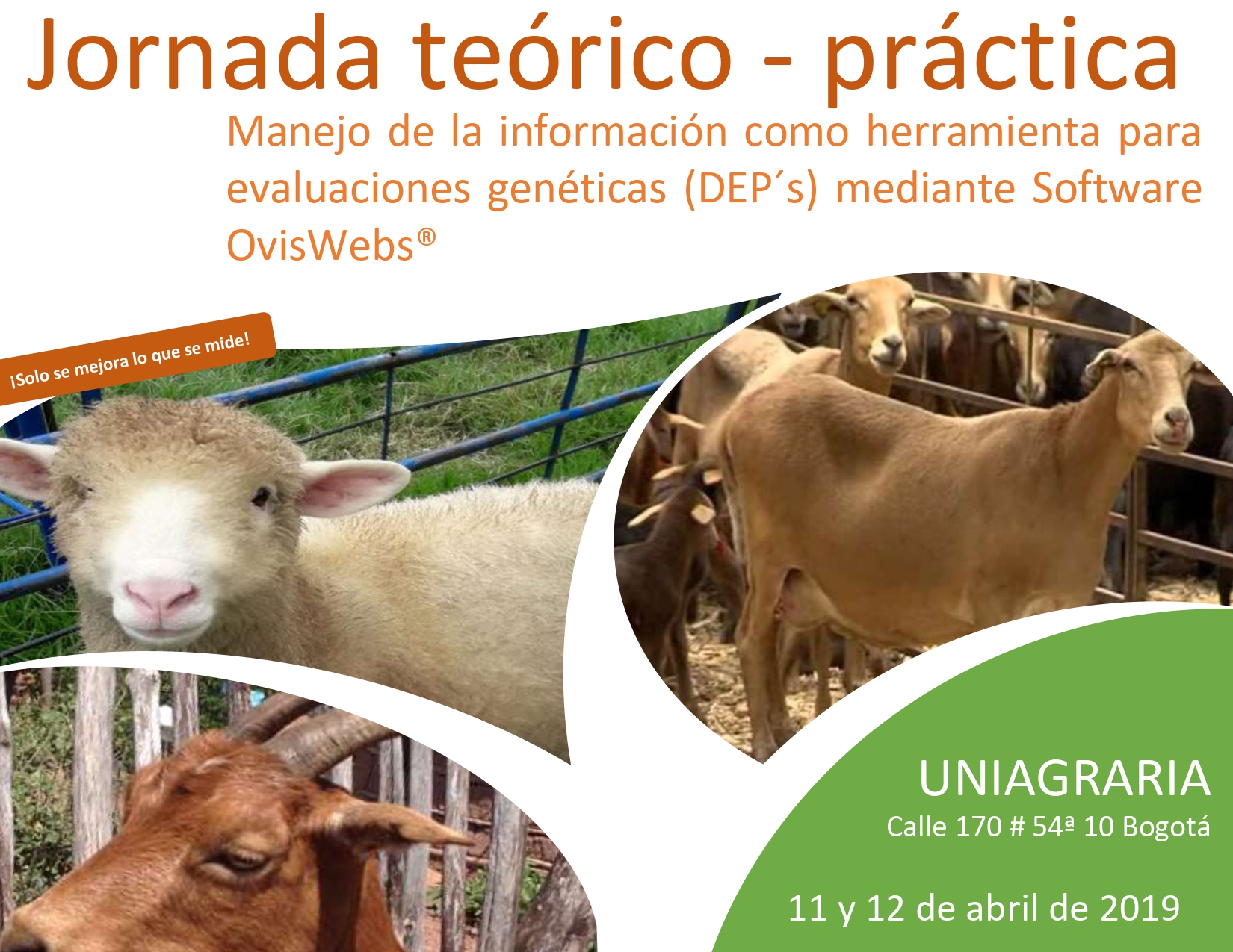 Jornada teórico – práctica para productores ovinos y/o caprinos