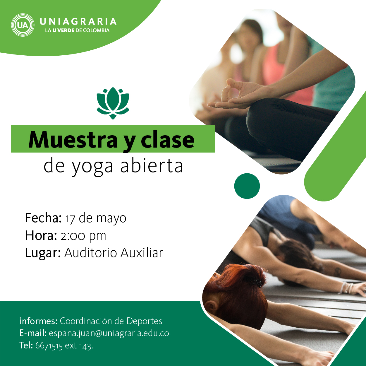 Muestra y clase de yoga abierta