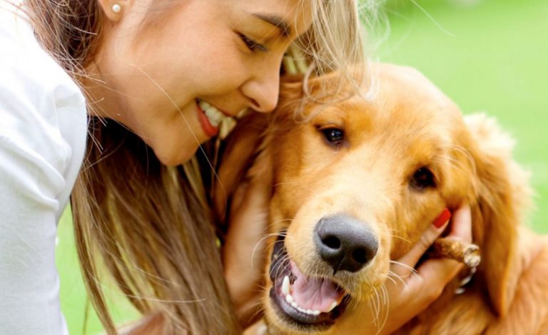 ¿Cómo evitar que su mascota haga sus necesidades en lugares no apropiados?. #UAenmedios