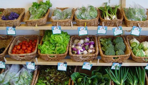 Alimentos contaminados afectan a 10% de la población y al crecimiento económico. #UAenmedios