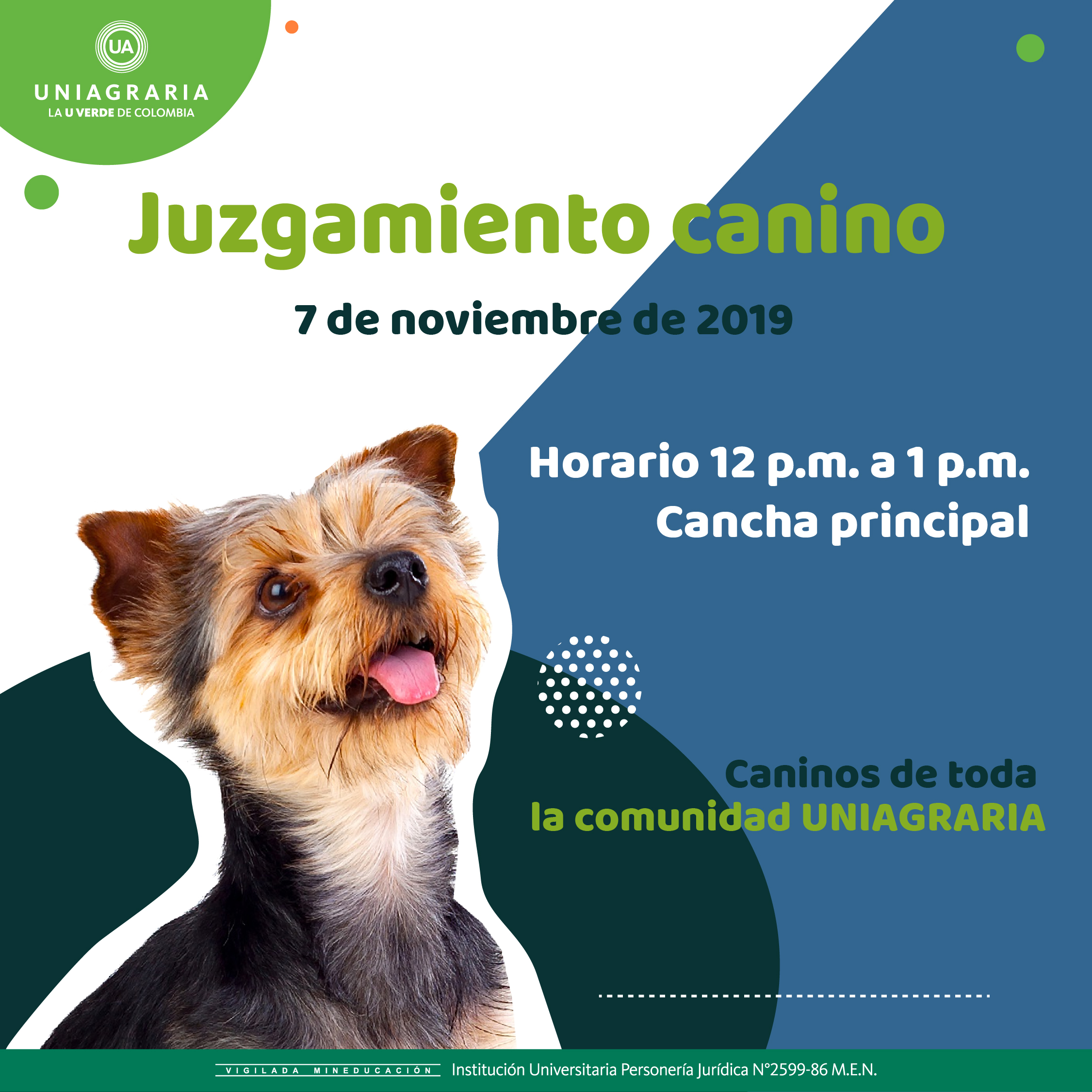 Juzgamiento canino