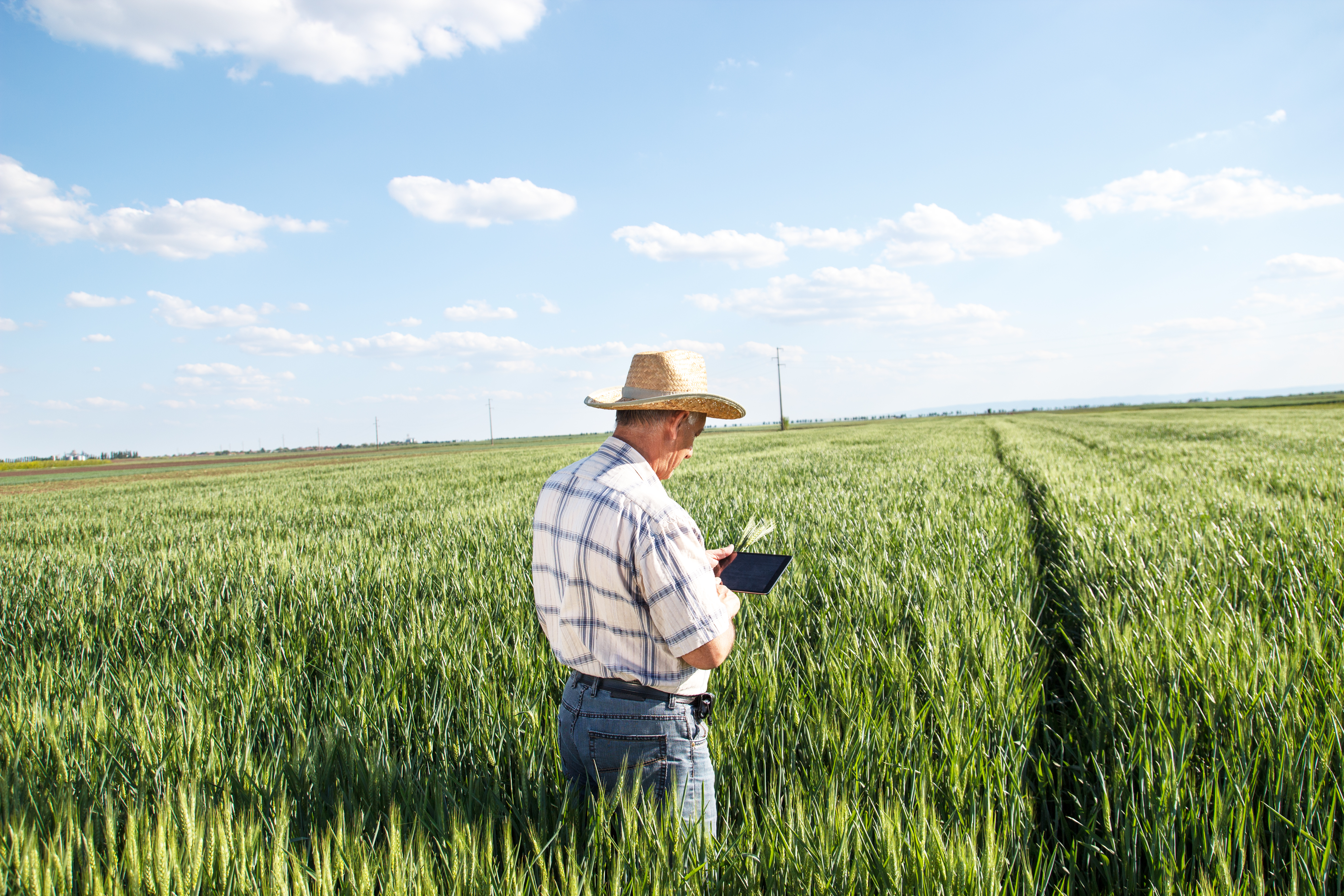 MOOC Ámbito de la Actividad Agropecuaria