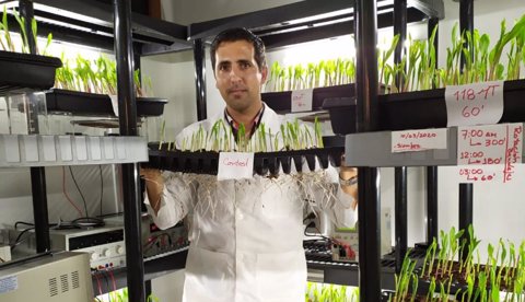 Equipo para el tratamiento de semillas botánicas de Uniagraria recibió patente