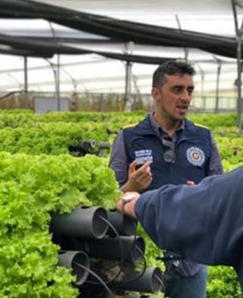 Acuaponía a pequeña escala como estrategia de producción de alimentos