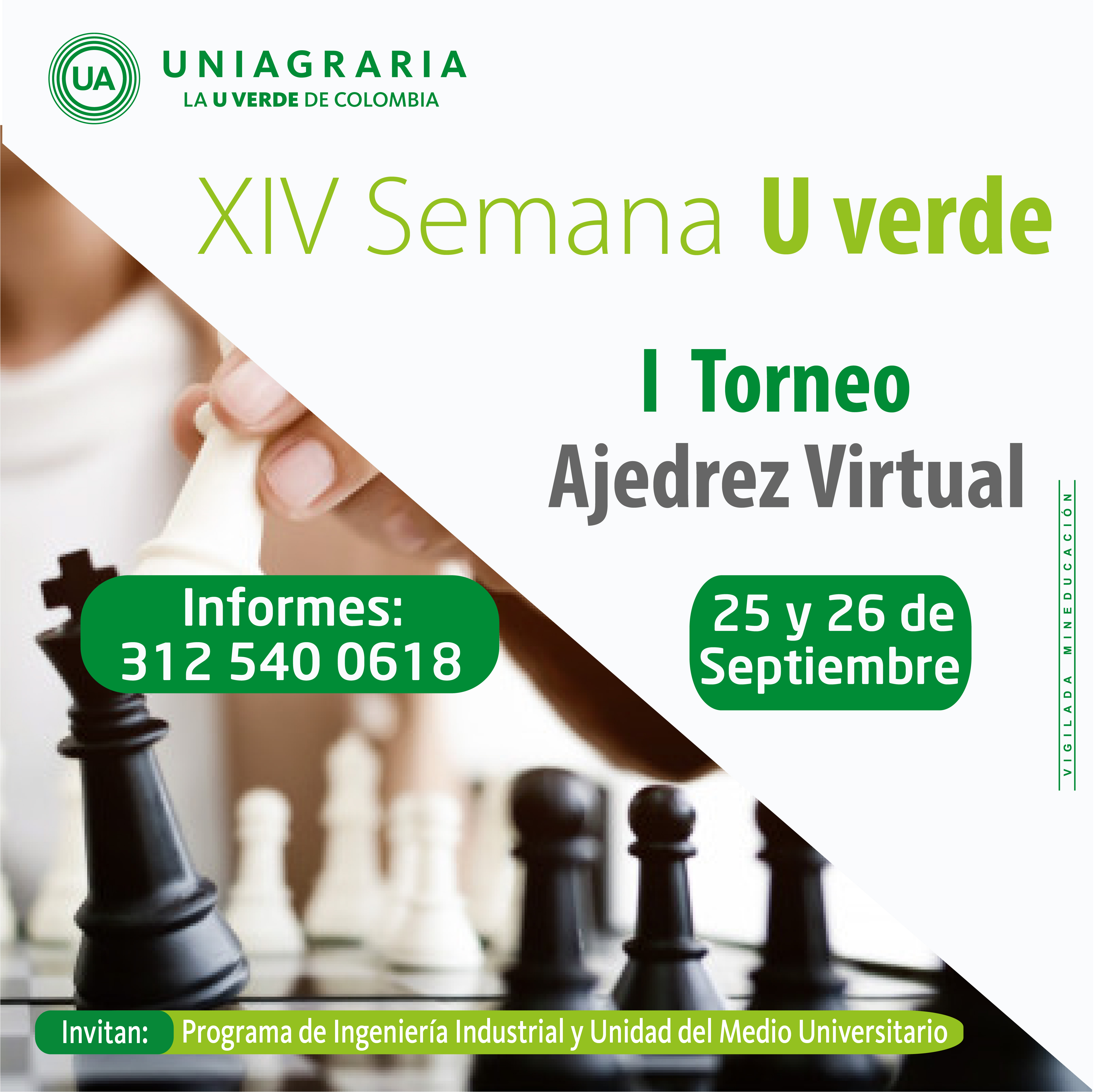 l Torneo de Ajedrez Virtual