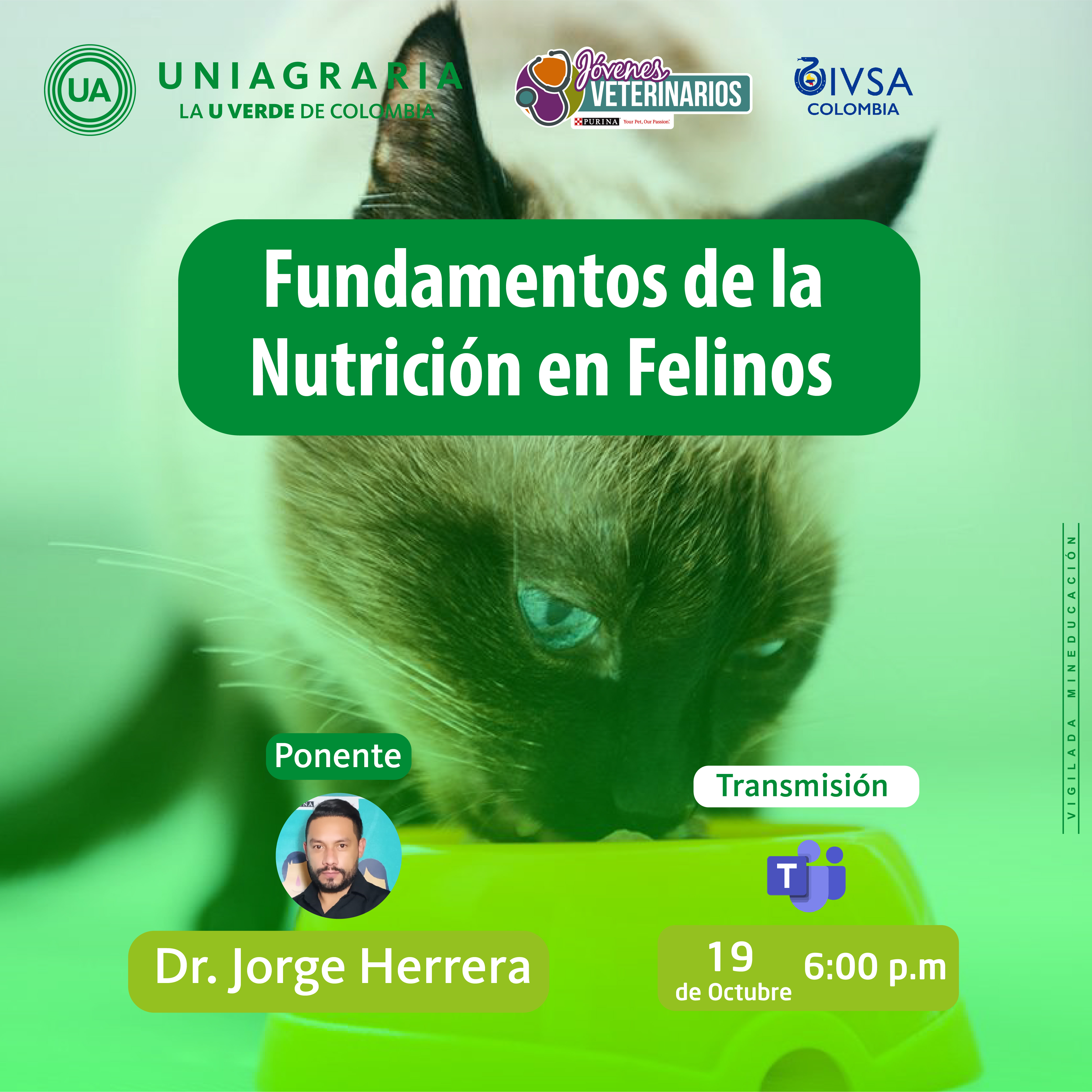 Fundamentos de la Nutrición en Felinos