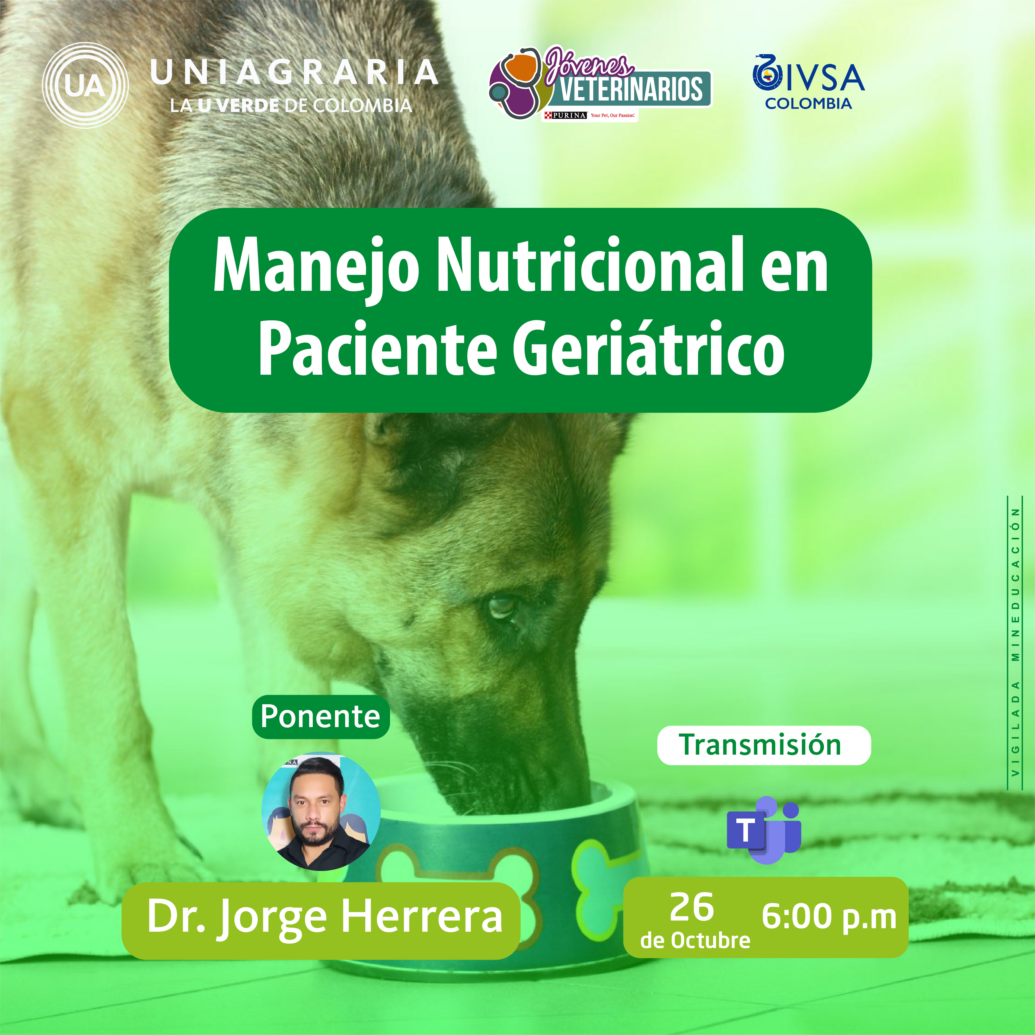 Manejo Nutricional en Paciente Geriátrico