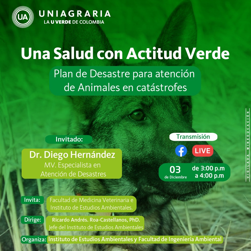 Plan De Desastre Para Atención De Animales Catástrofes