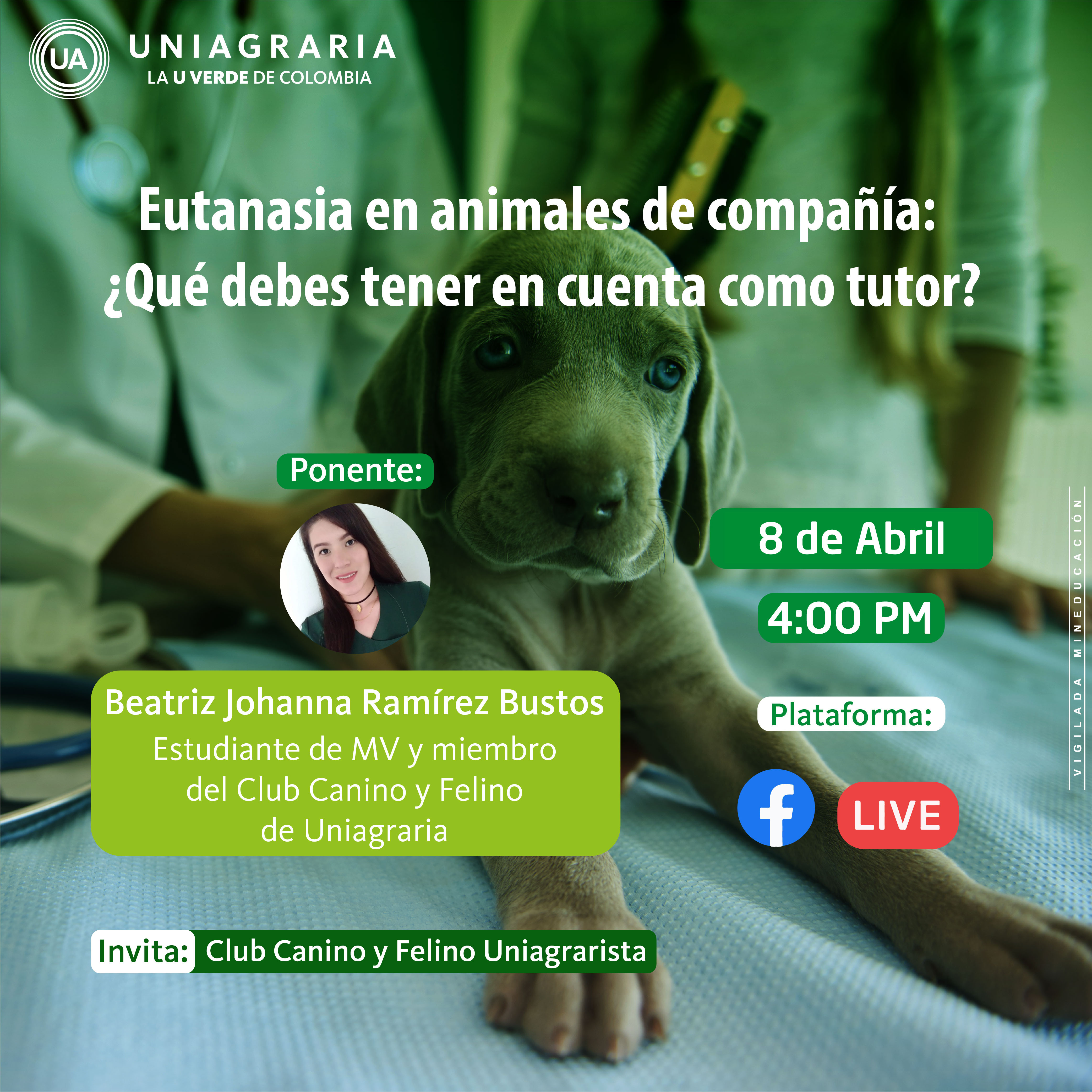 Eutanasia en animales de compañía: ¿Qué debes tener en cuenta como tutor?