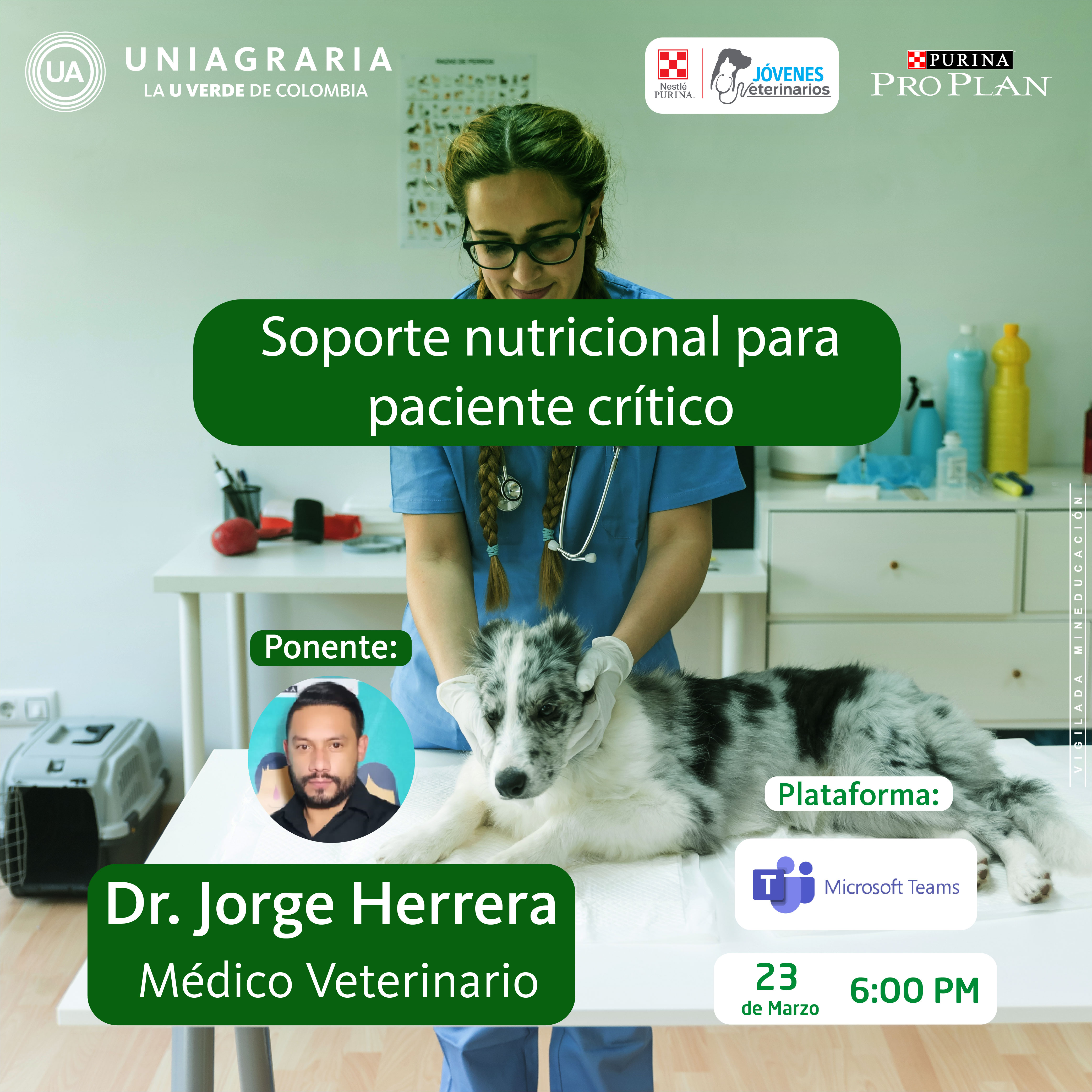 Soporte nutricional para paciente crítico