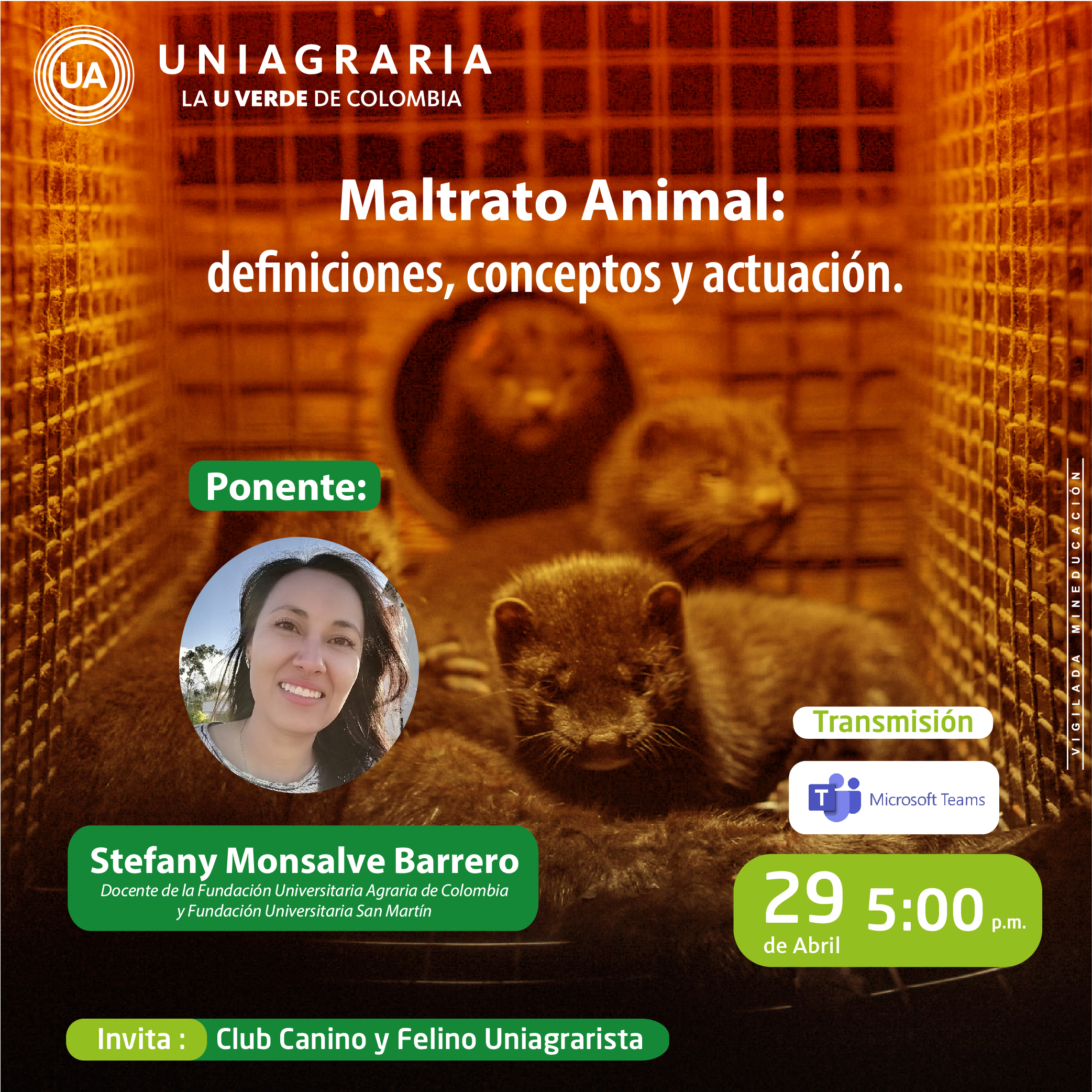 Maltrato Animal: definiciones, conceptos y actuación