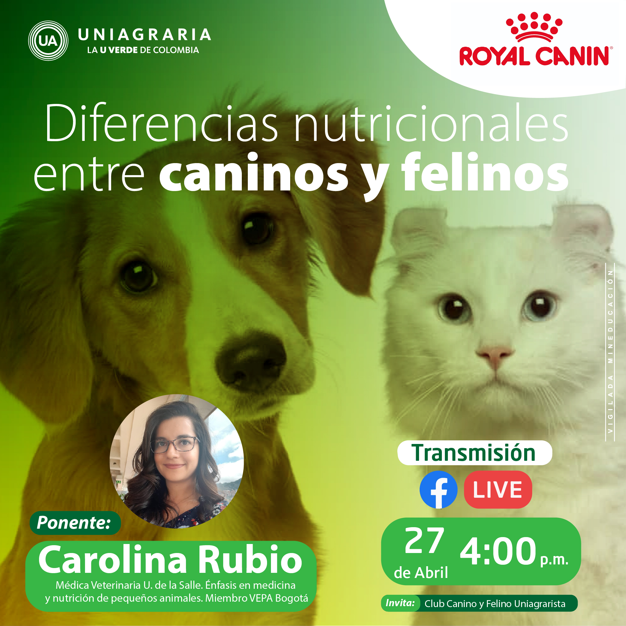 Diferencias nutricionales entre caninos y felinos