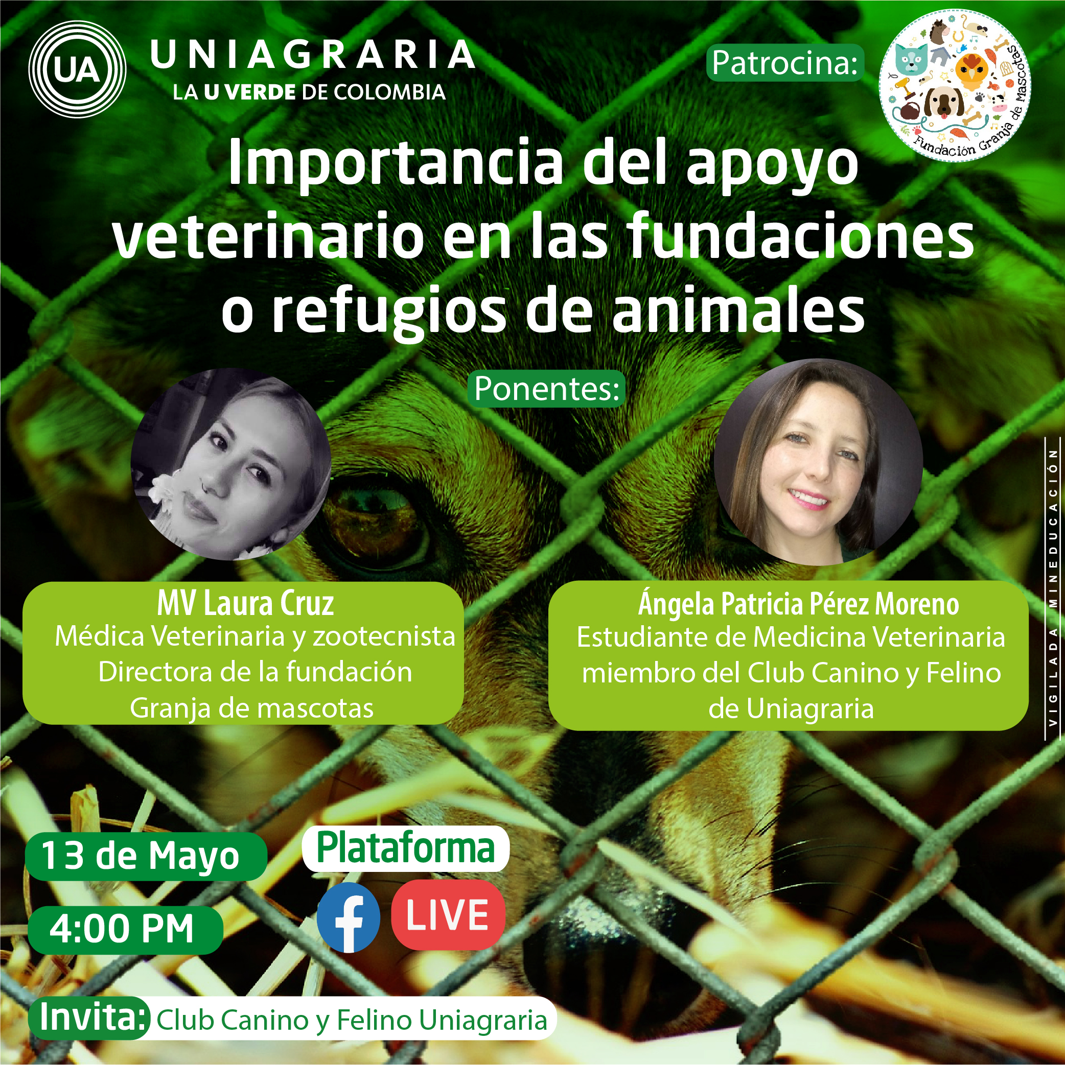 Importancia del apoyo veterinario en las fundaciones o refugios de animales