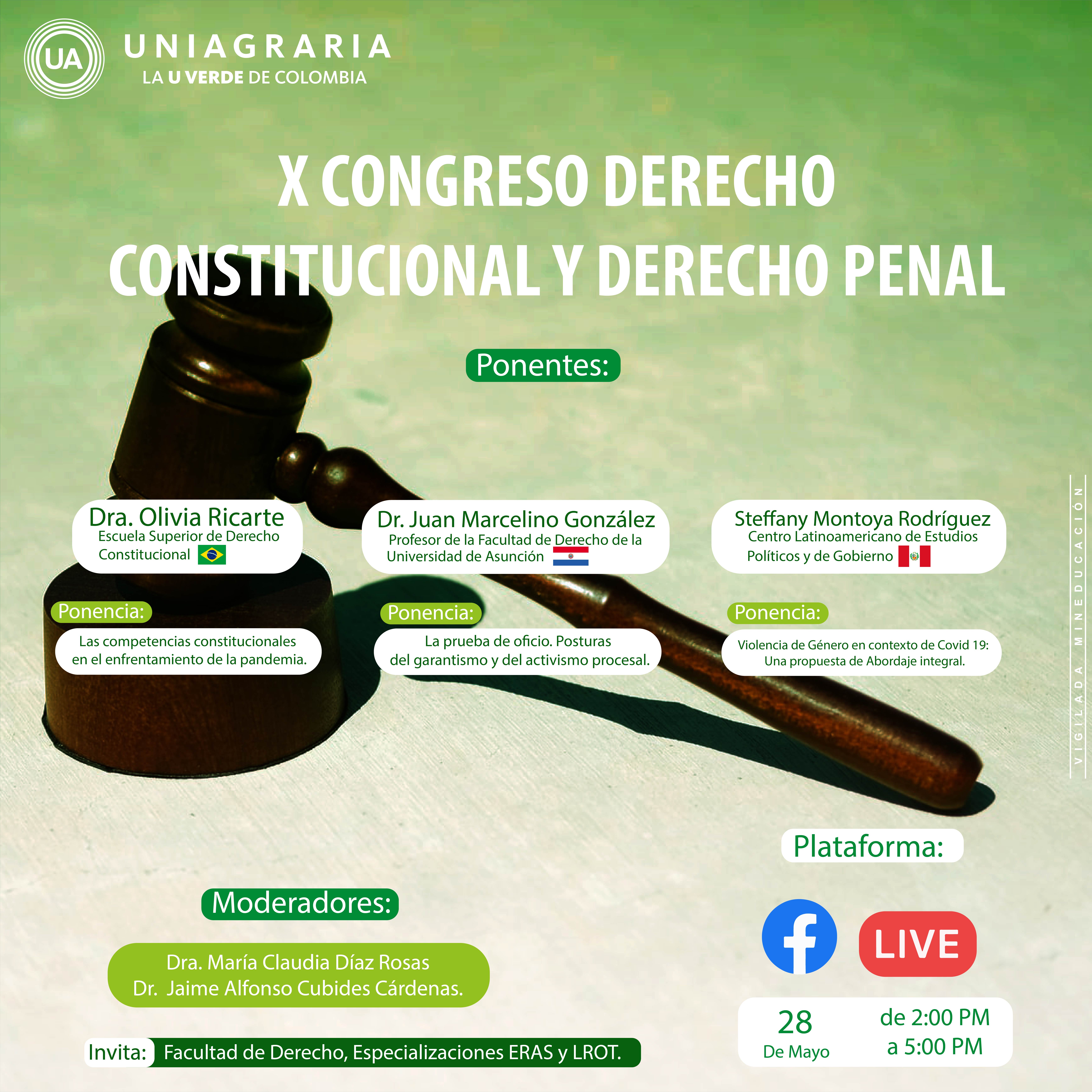 X Congreso derecho constitucional y derecho penal