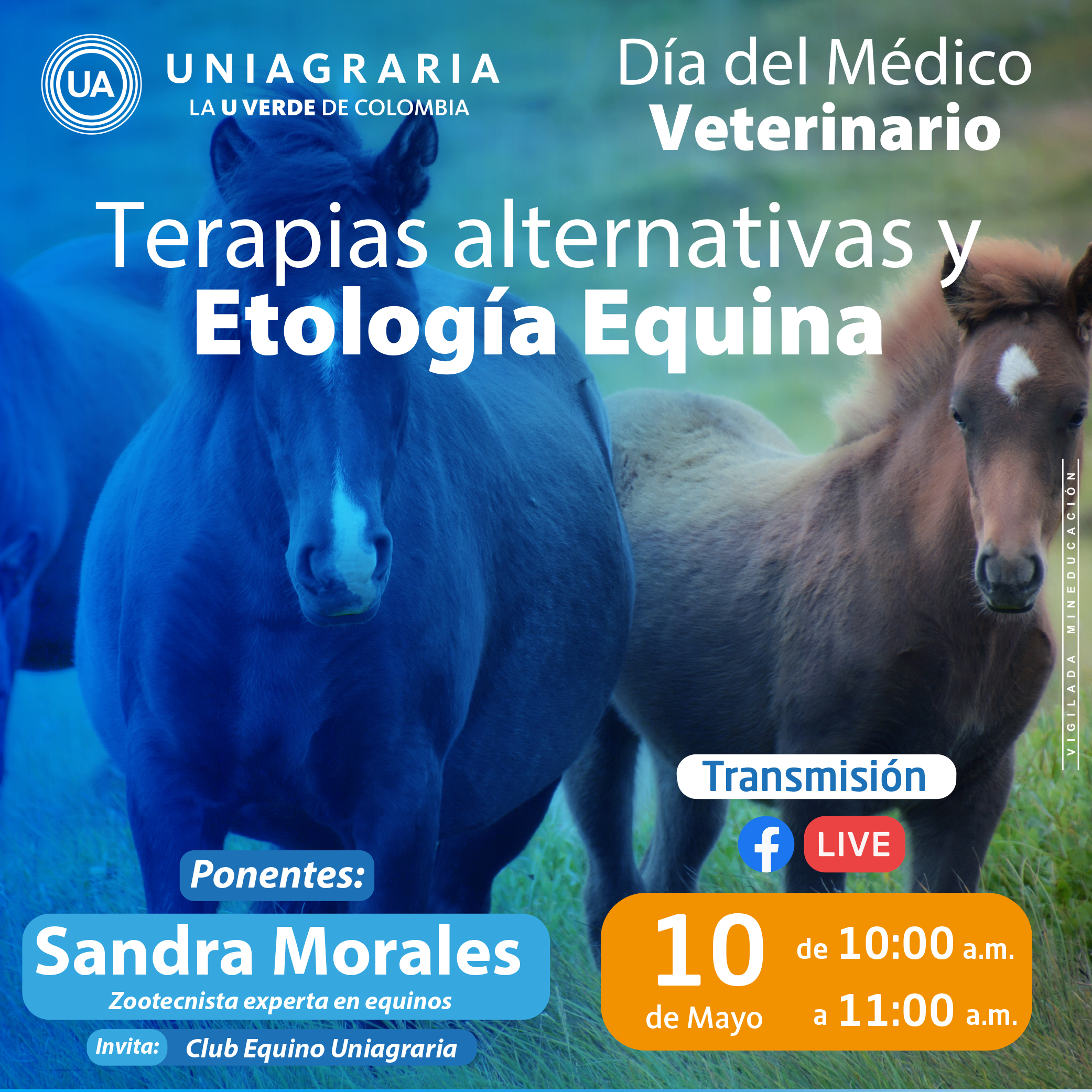 Terapias alternativas y Etología Equina