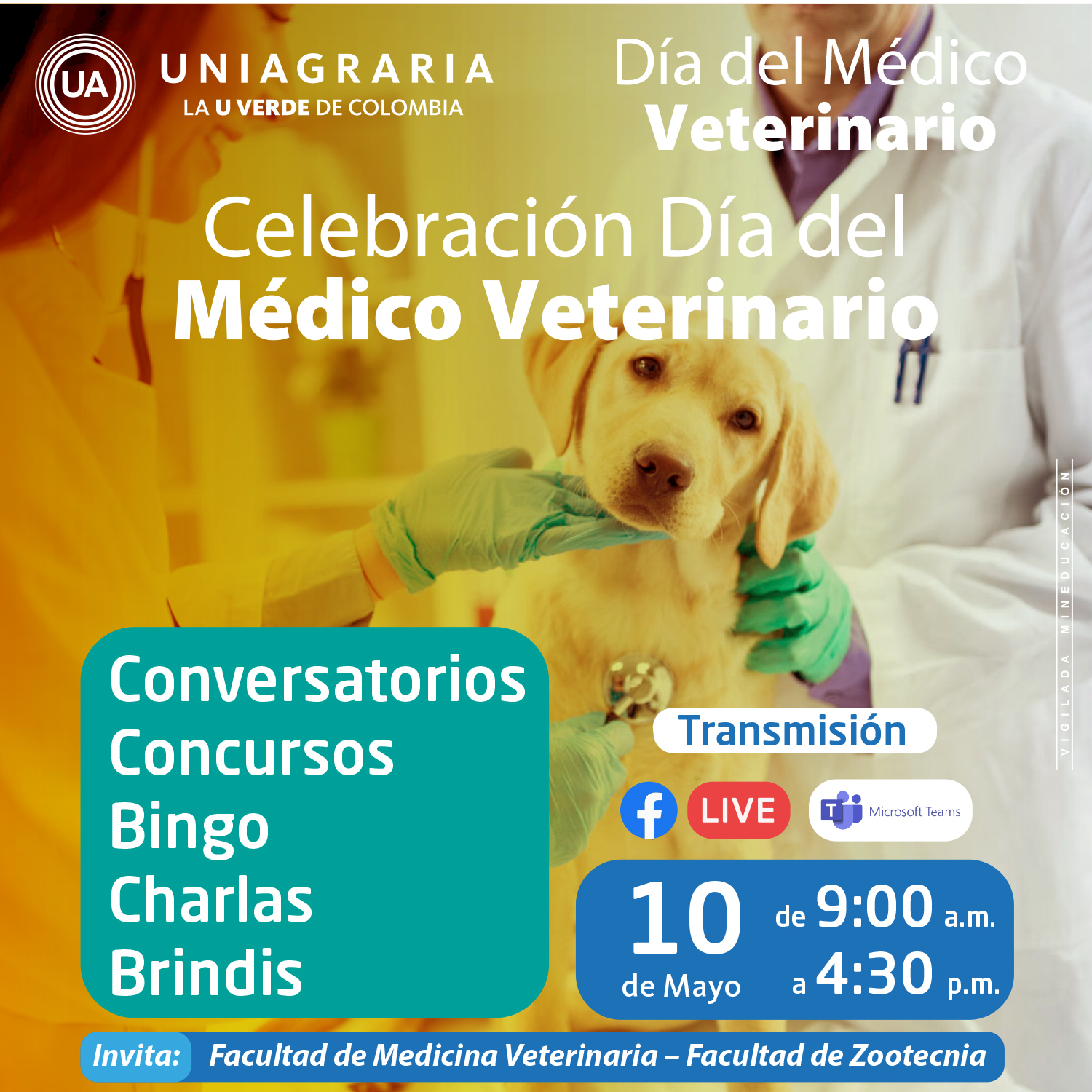 Concurso: Caninos y felinos