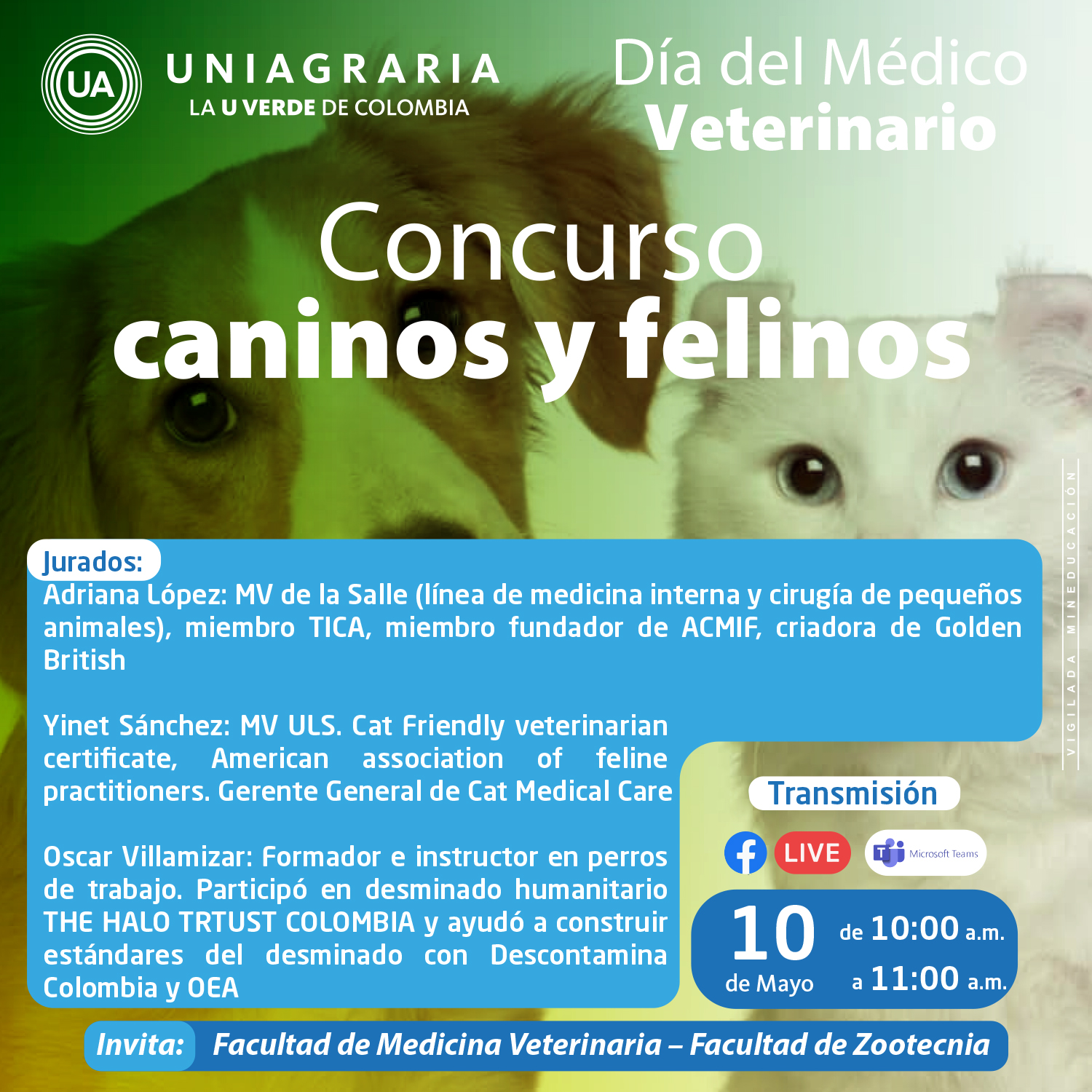 Concurso: Caninos y felinos