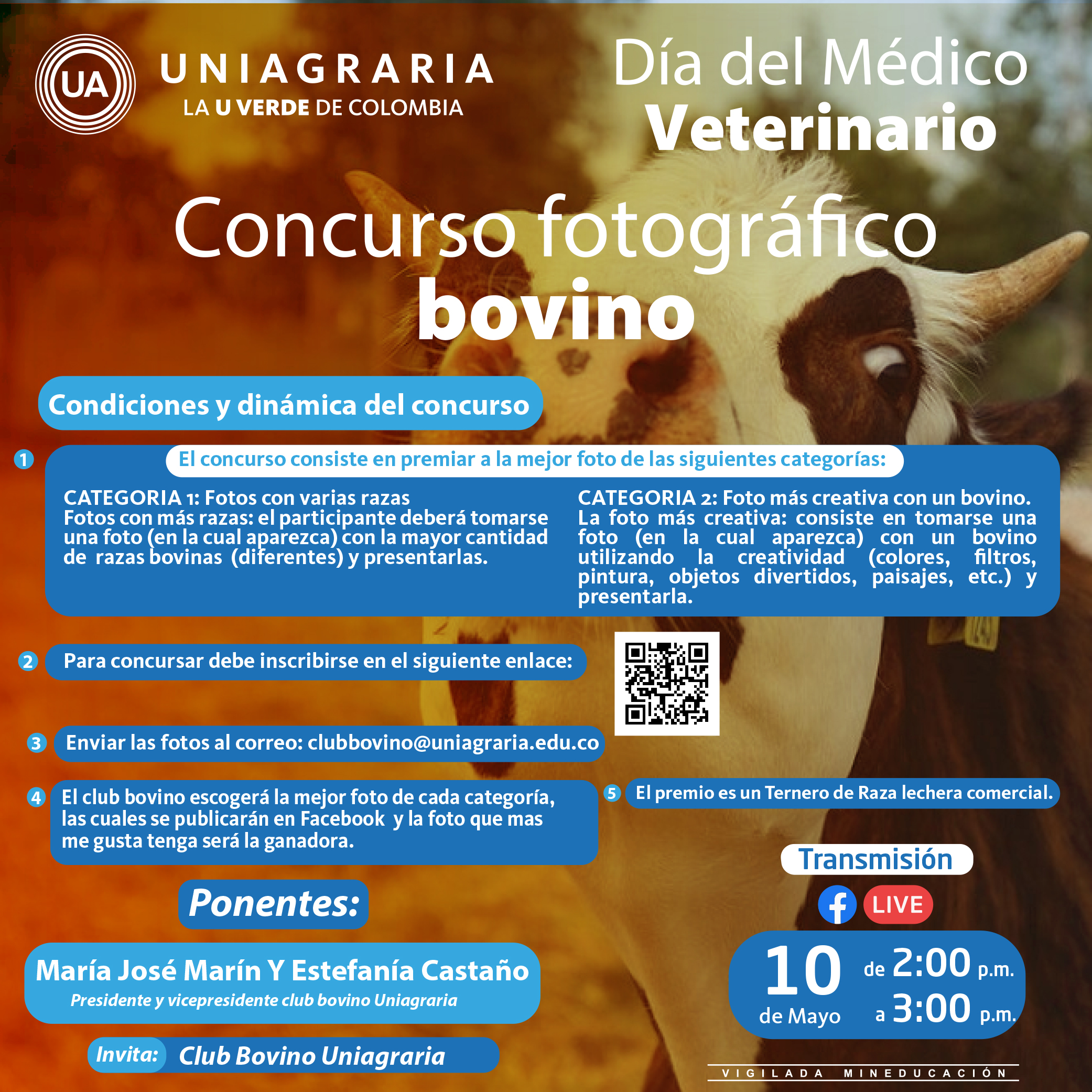 Concurso fotográfico bovino