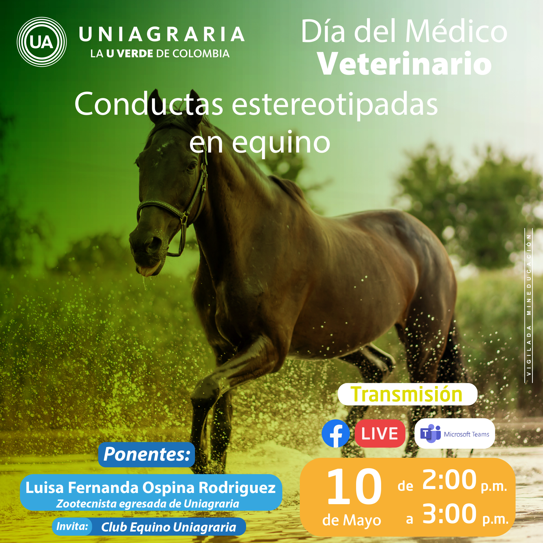 Conductas estereotipadas en equino