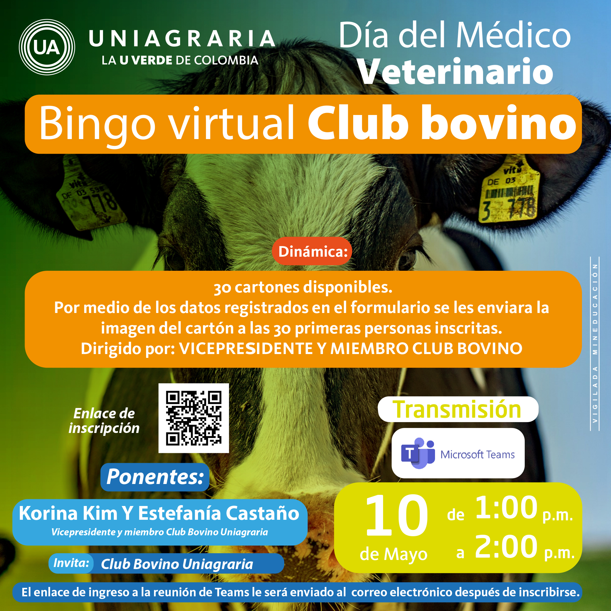 Bingo virtual Club bovino