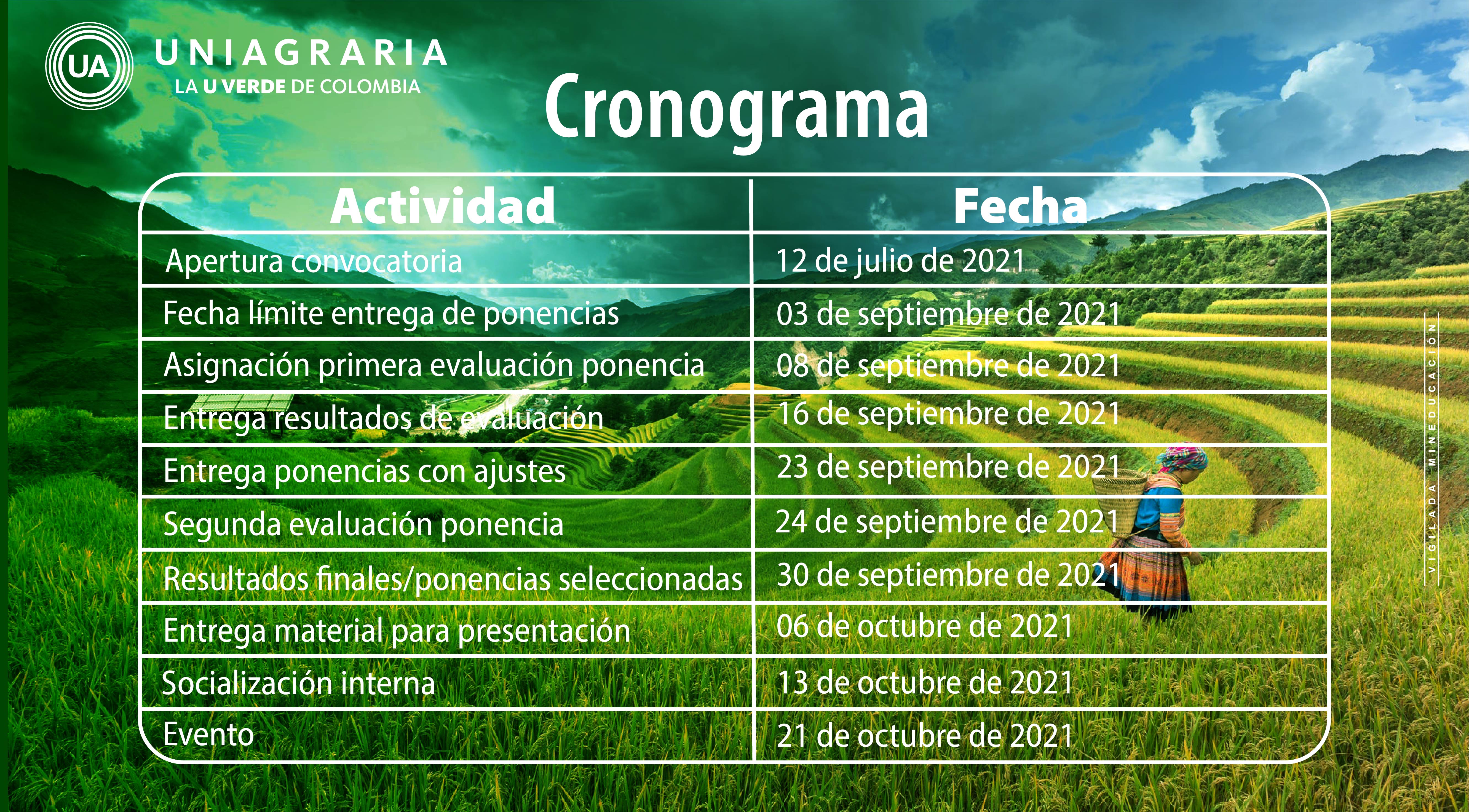 Revisoría Fiscal en contextos rurales