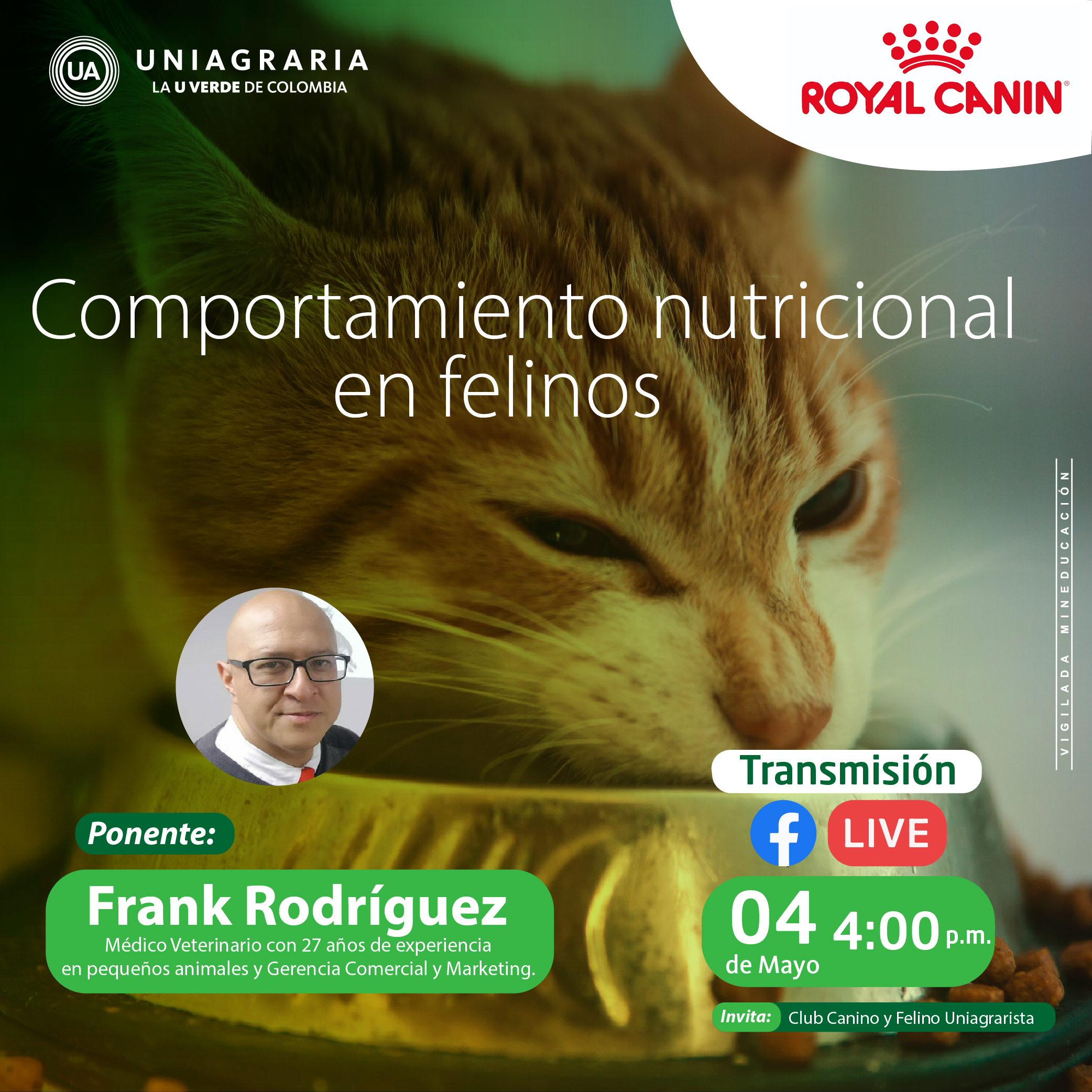 Comportamiento nutricional en felinos