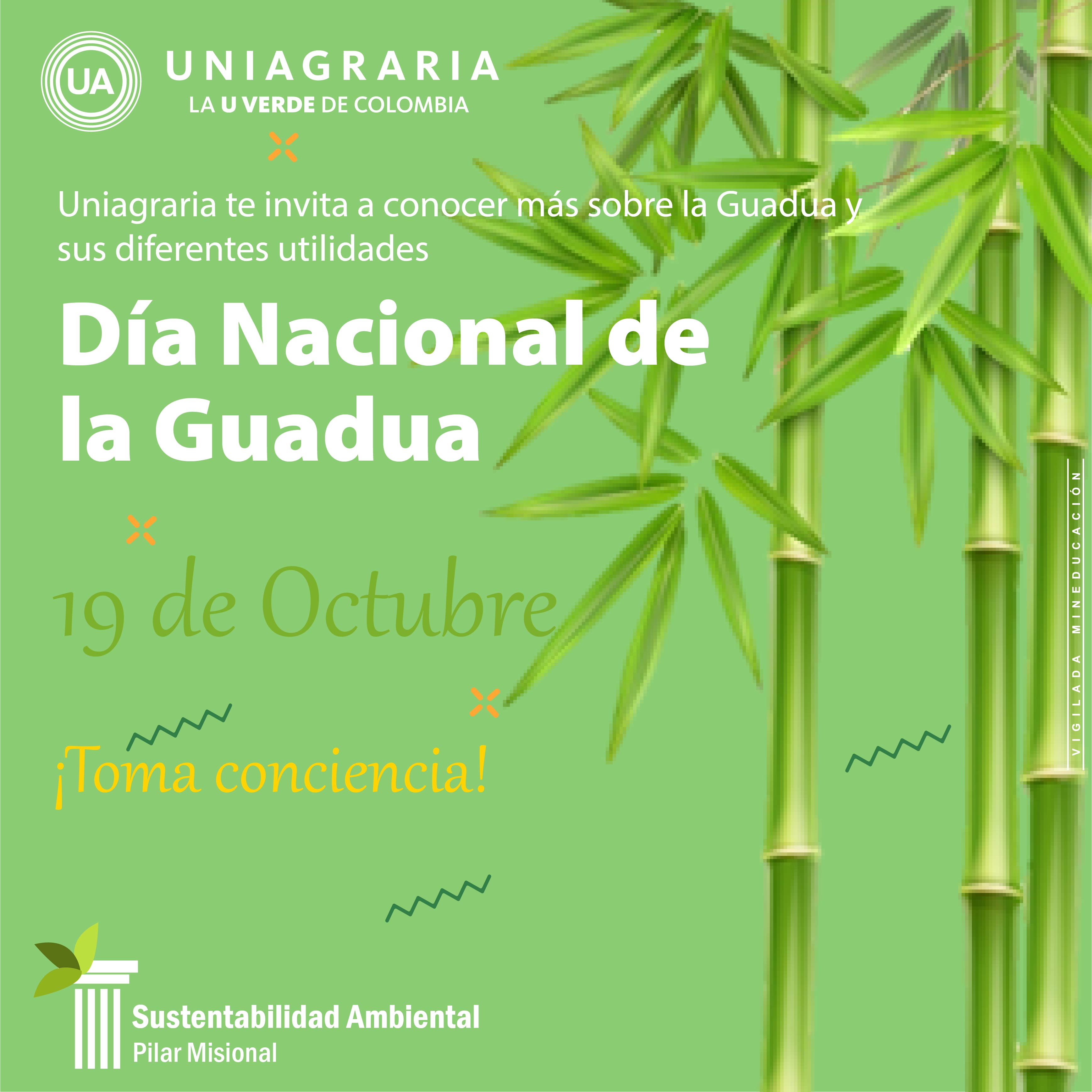 Día Nacional de la Guadua