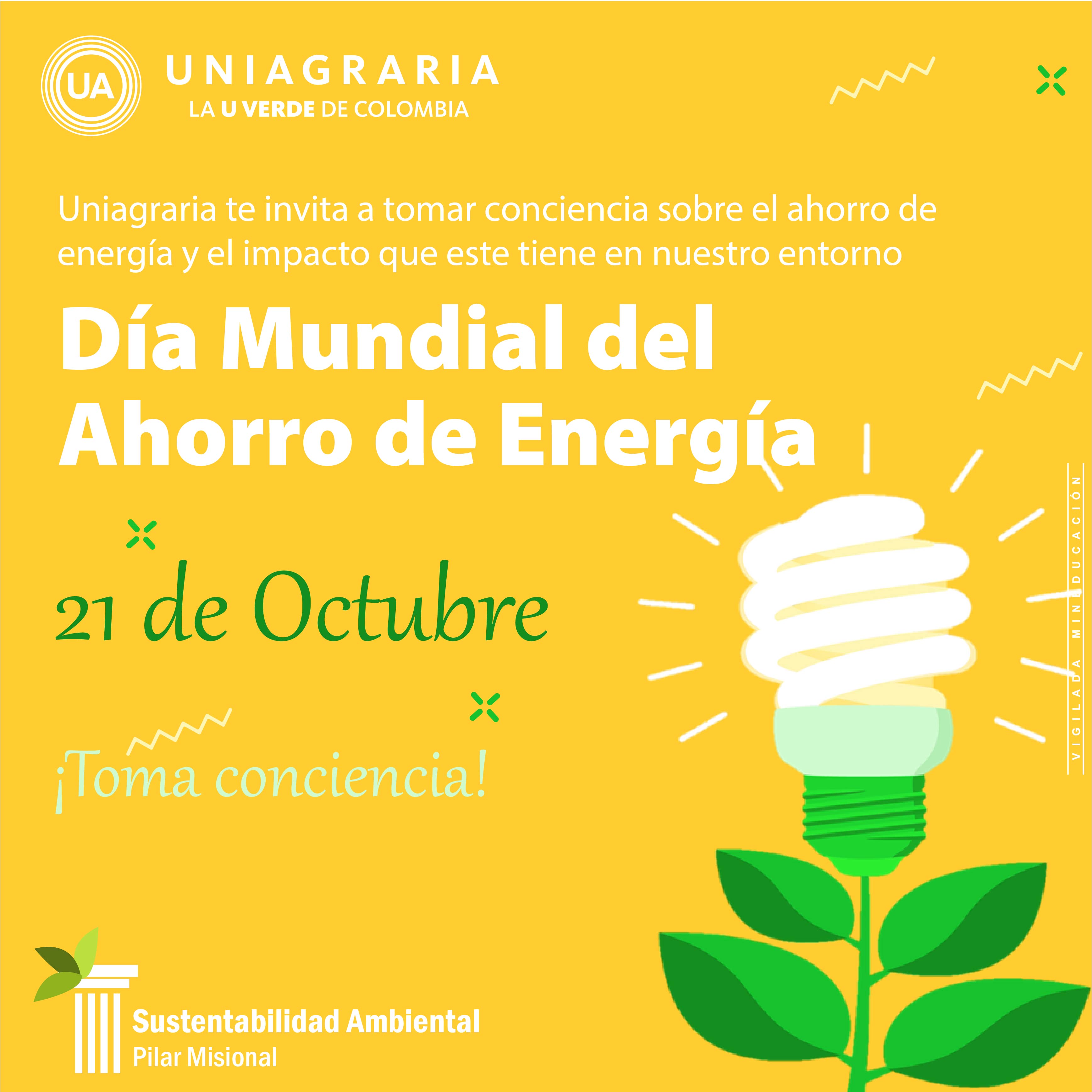 Día Mundial da la Ecología