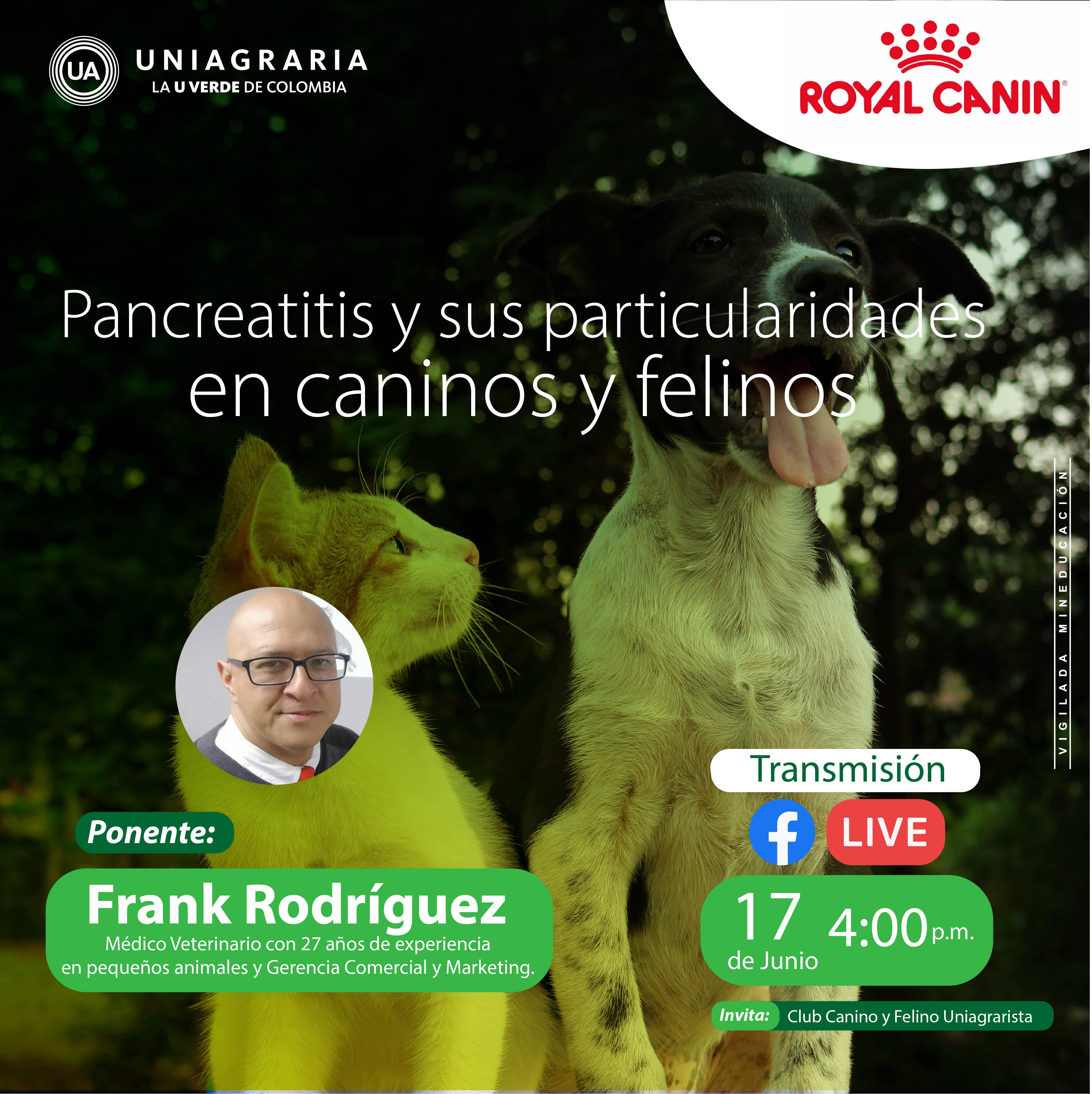 Pancreatitis y sus particularidades en caninos y felinos