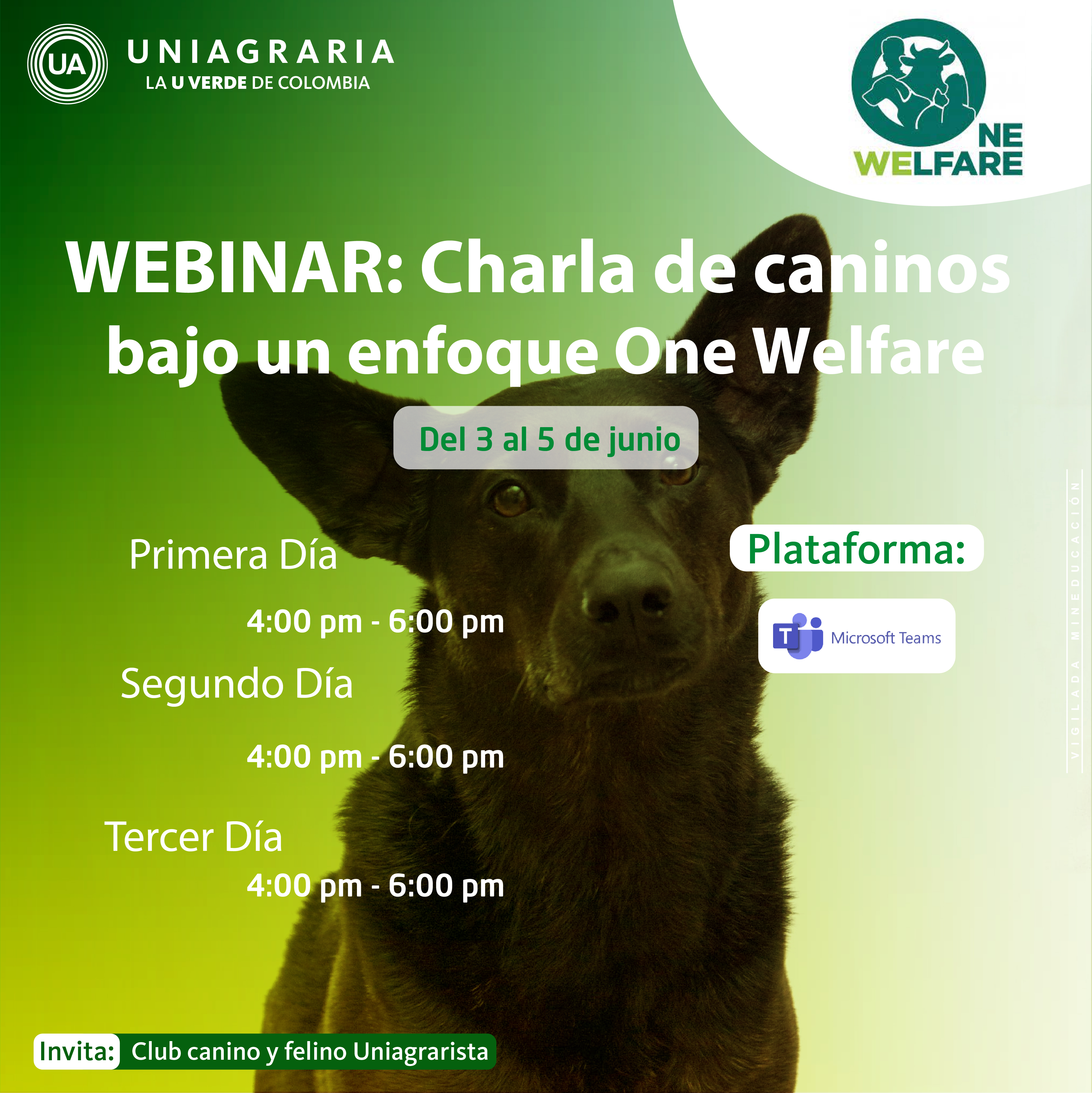 WEBINAR: Charla de caninos bajo un enfoque One Welfare