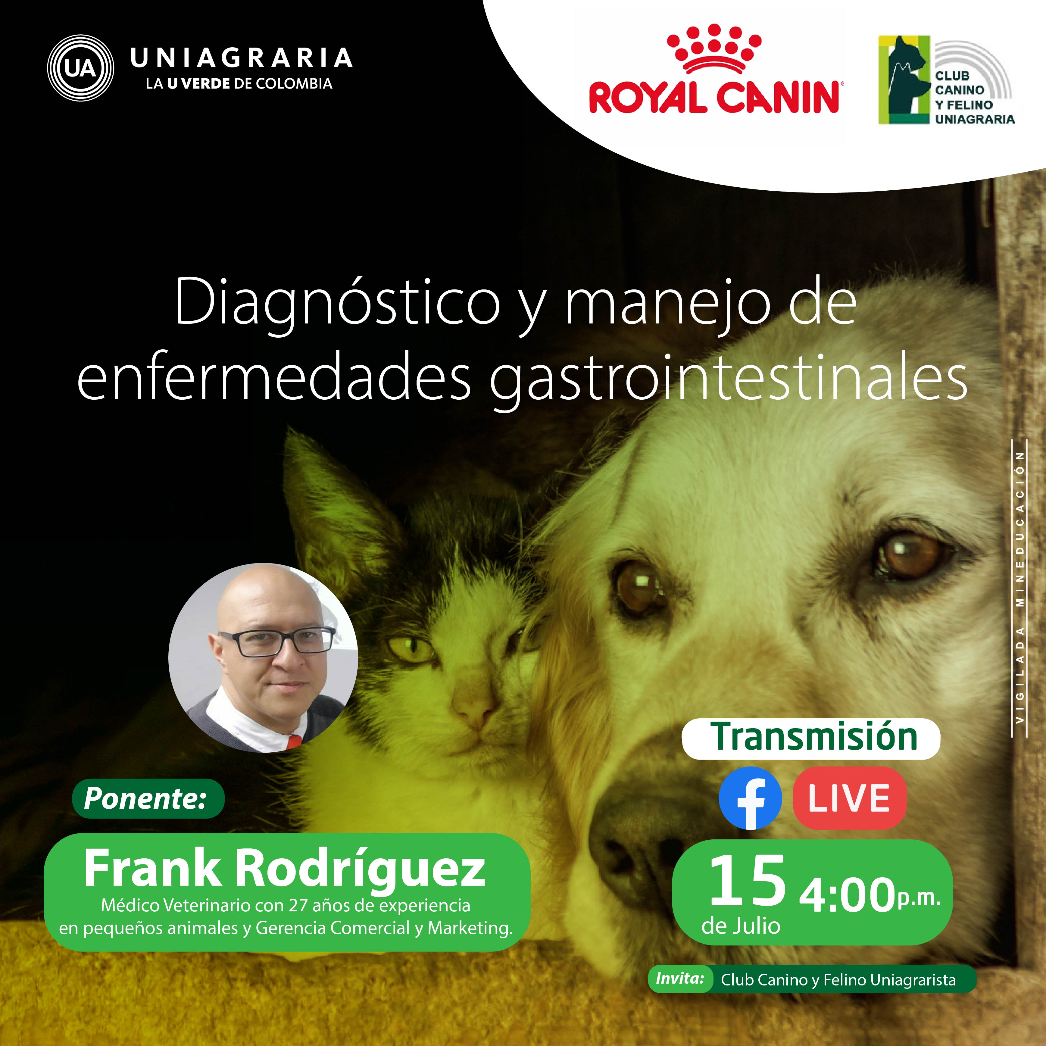 Diagnóstico y manejo de Enfermedades Gastrointestinales