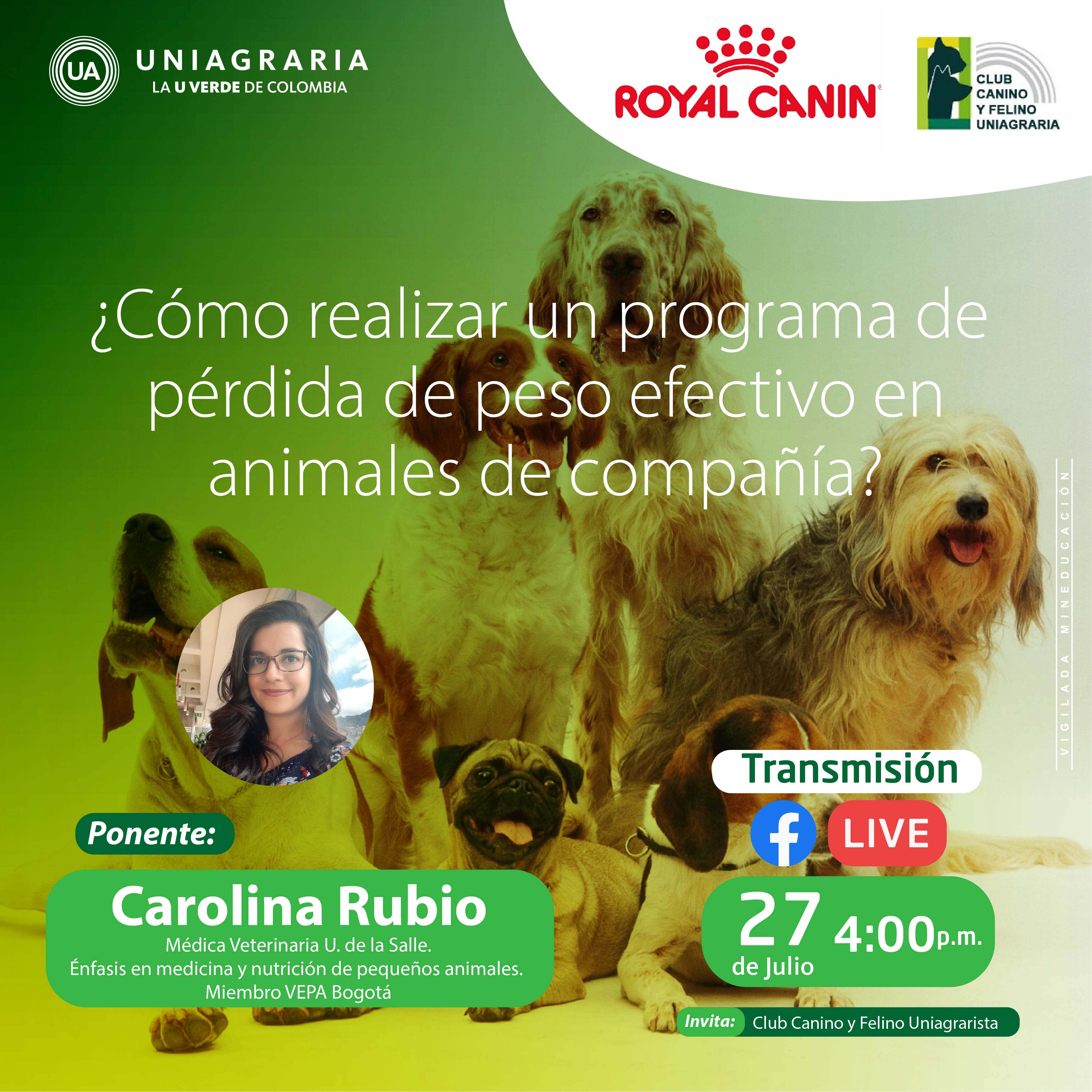 ¿Cómo realizar un programa de pérdida de peso efectivo en animales de compañía?