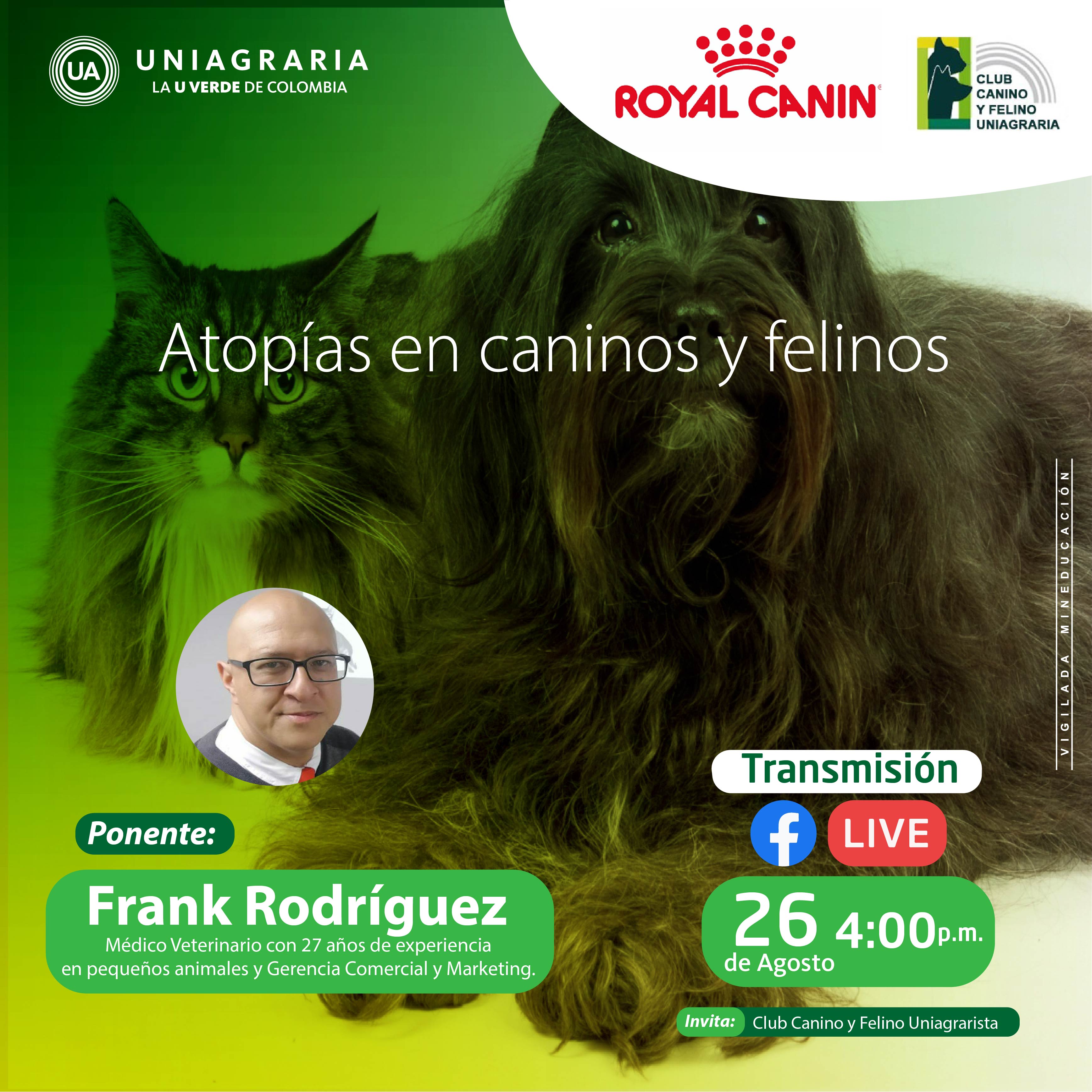 Atopías en caninos y felinos
