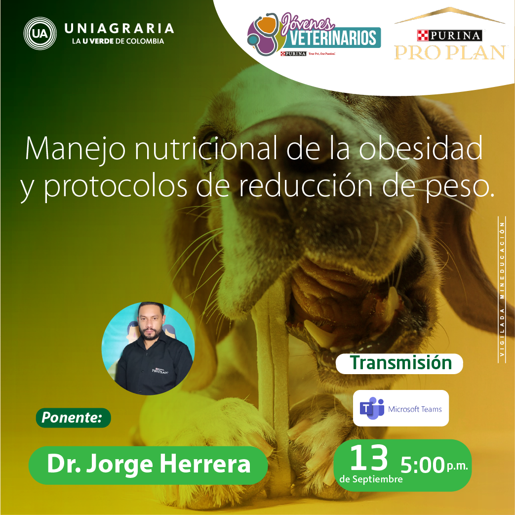 Manejo nutricional de la obesidad y protocolos de reducción de peso