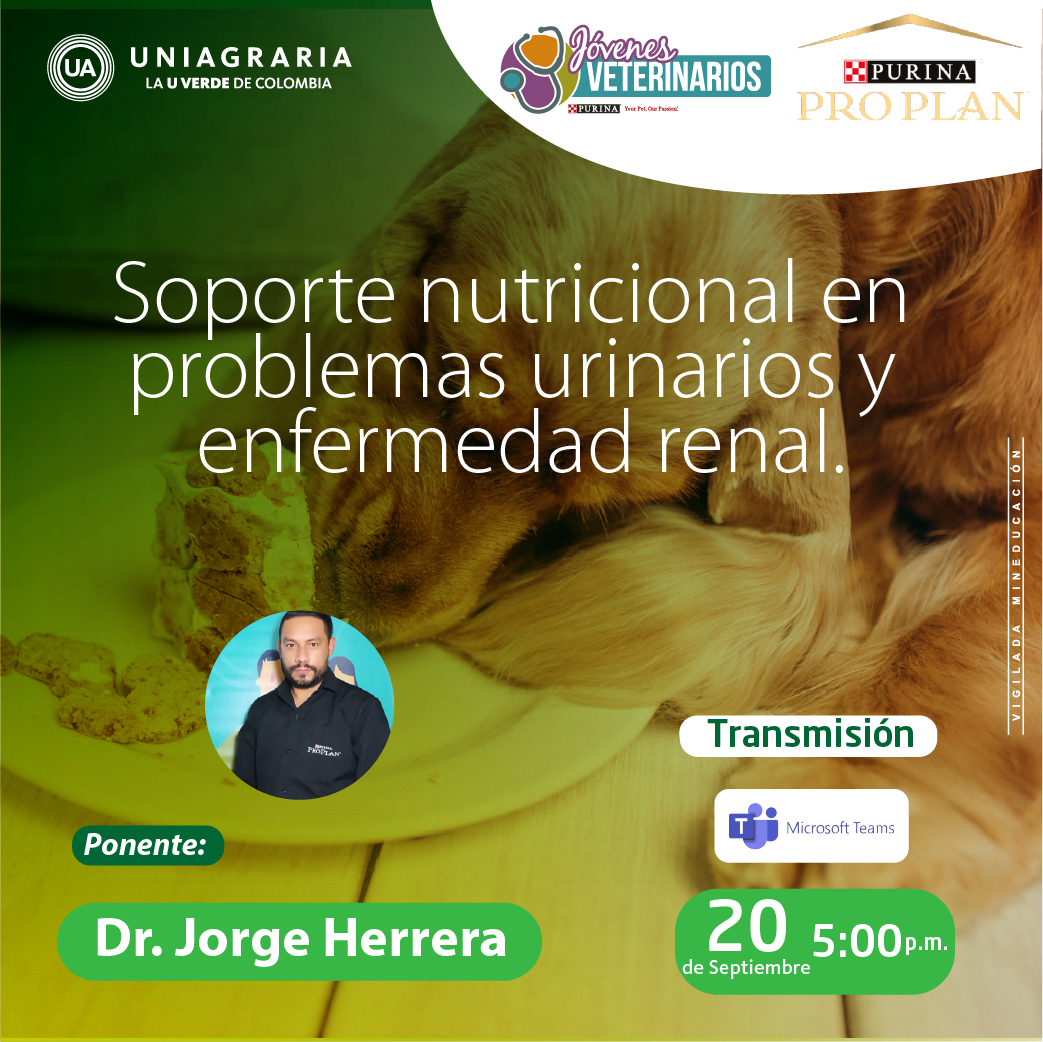 Soporte nutricional en problemas urinarios y enfermedad renal